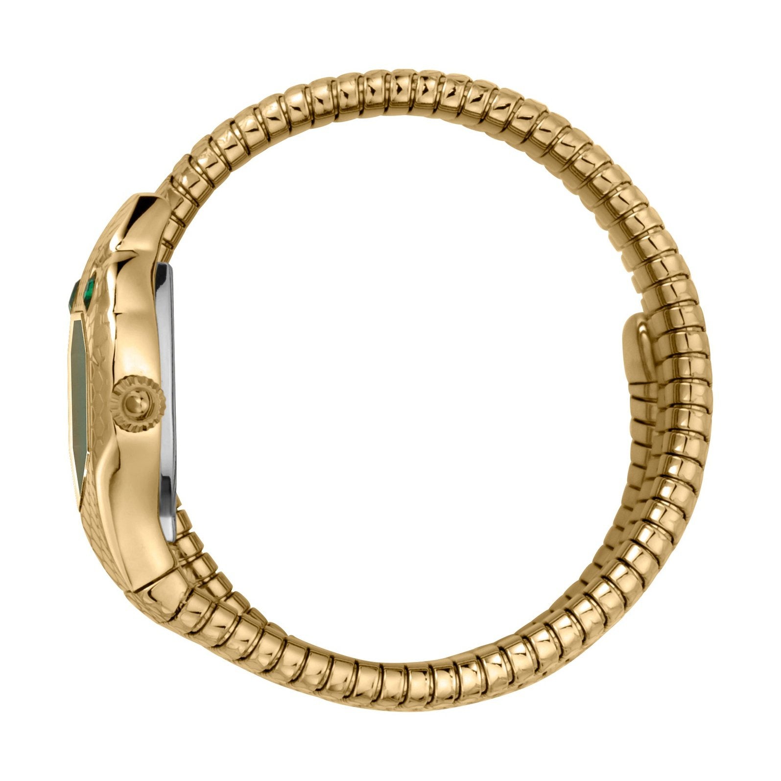 Ladies Serpente Doppio Watch JC1L168M0045 Just Cavalli
