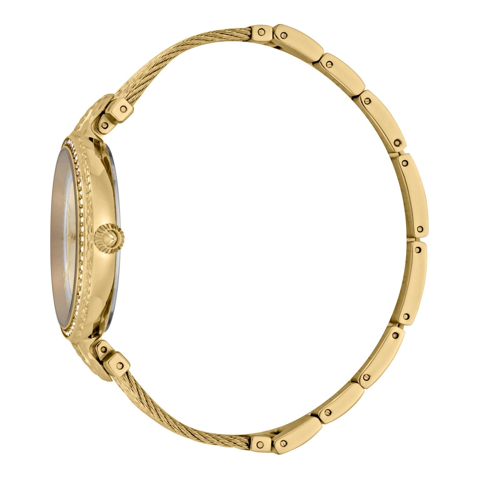 Ladies Reale Watch JC1L169M0025 Just Cavalli