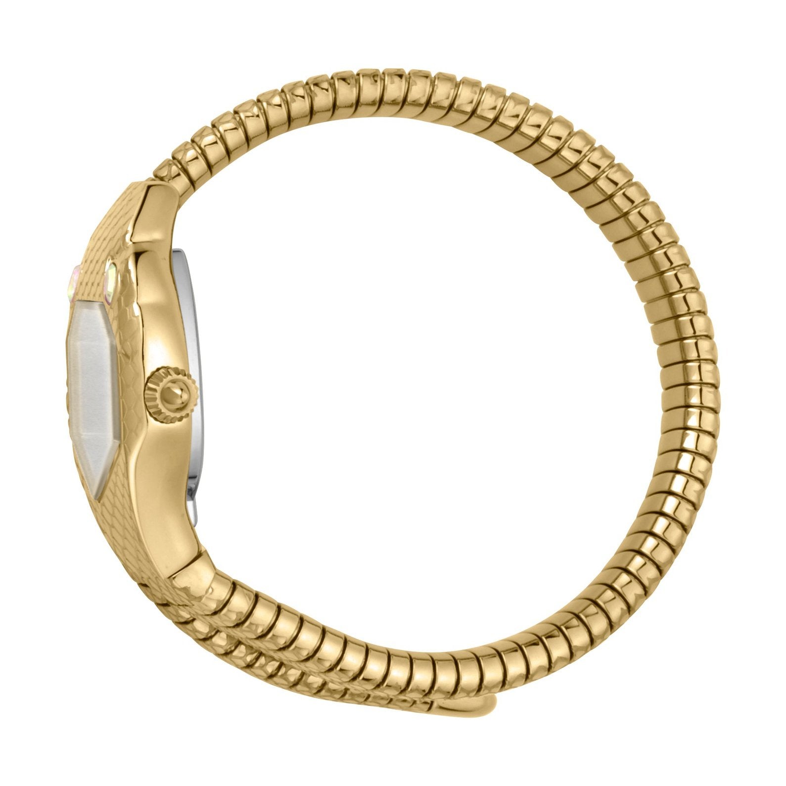 Ladies Serpente Solo Watch JC1L177M0035 Just Cavalli