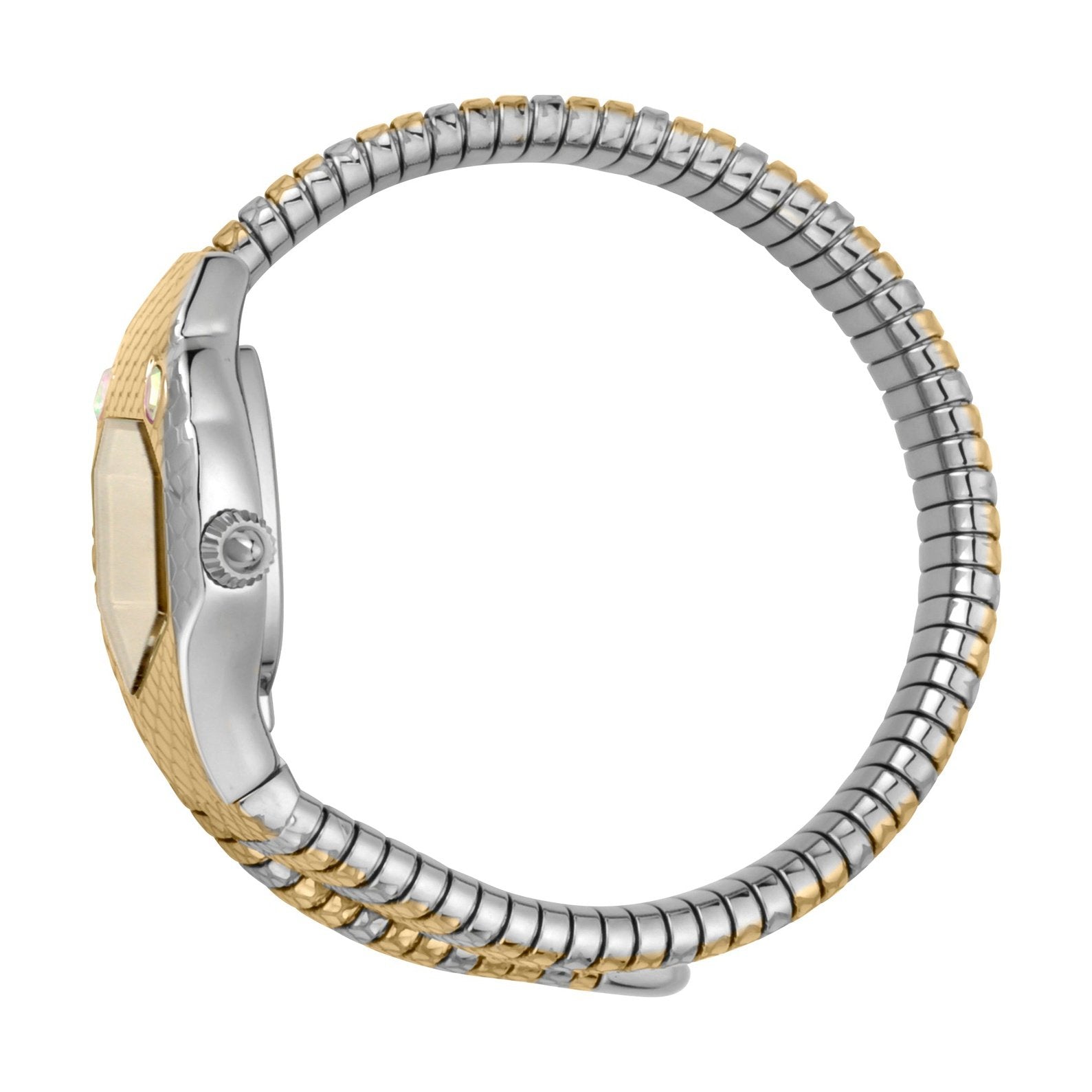 Ladies Serpente Solo Watch JC1L177M0055 Just Cavalli
