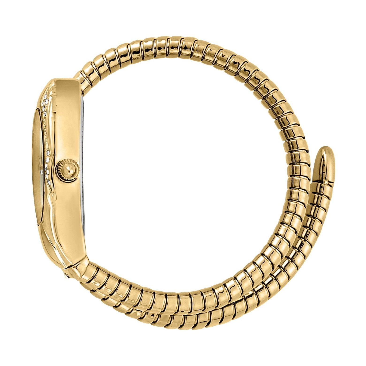 Ladies Serpente Regali Watch JC1L183M0025 Just Cavalli