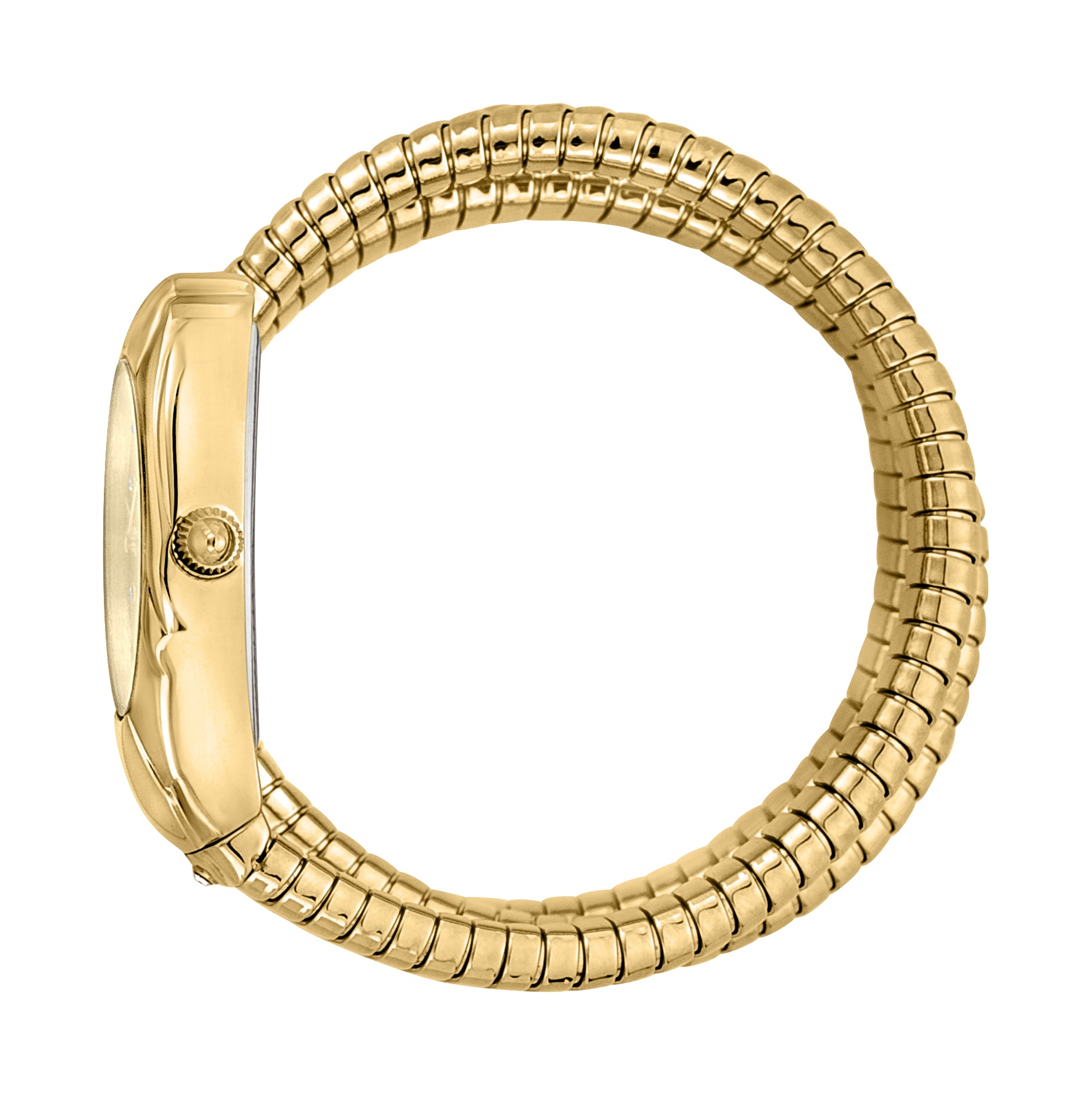Ladies Serpente Emozioni Watch JC1L184M0025 Just Cavalli