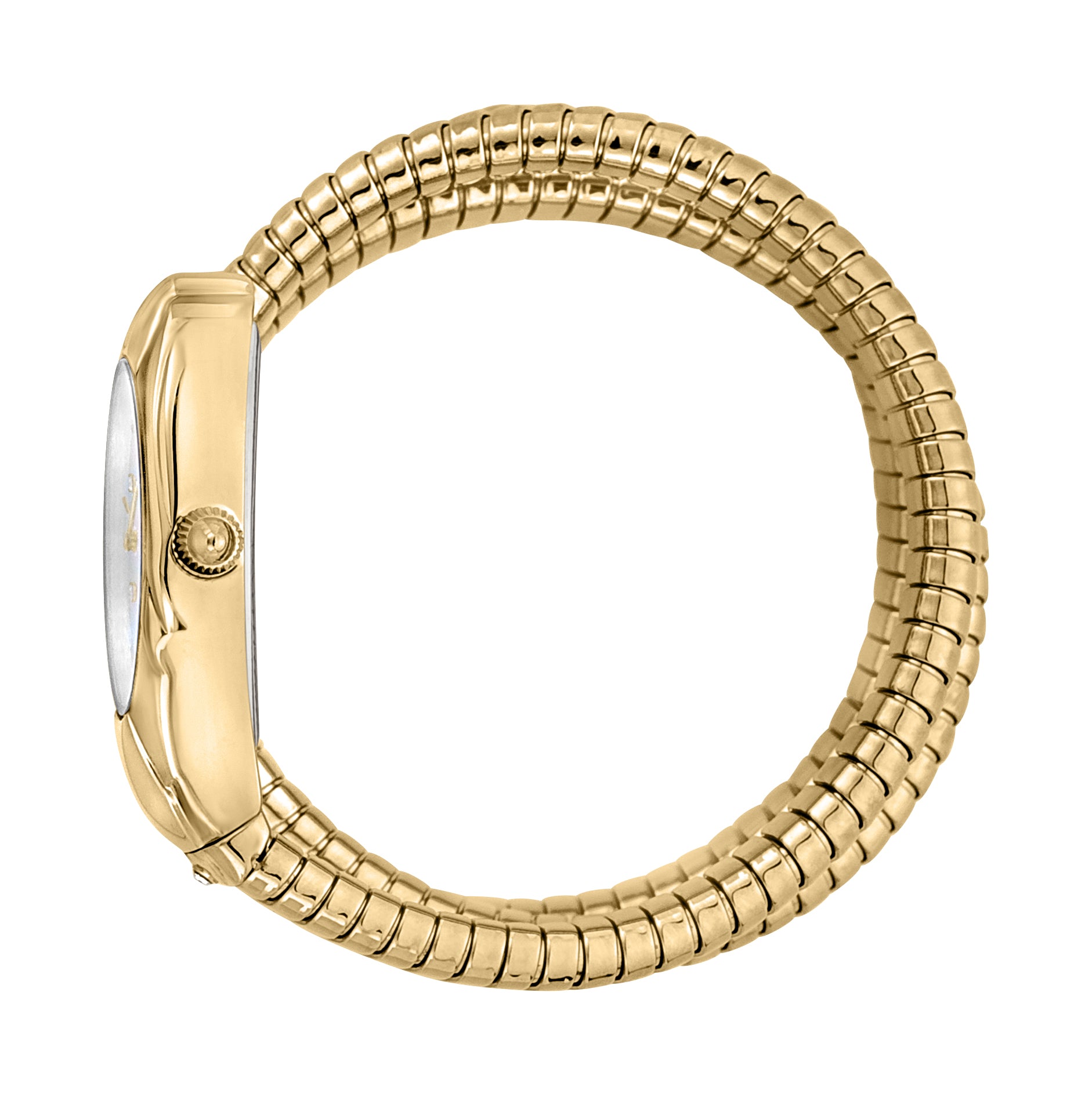 Ladies Serpente Nobile Watch JC1L185M0015 Just Cavalli
