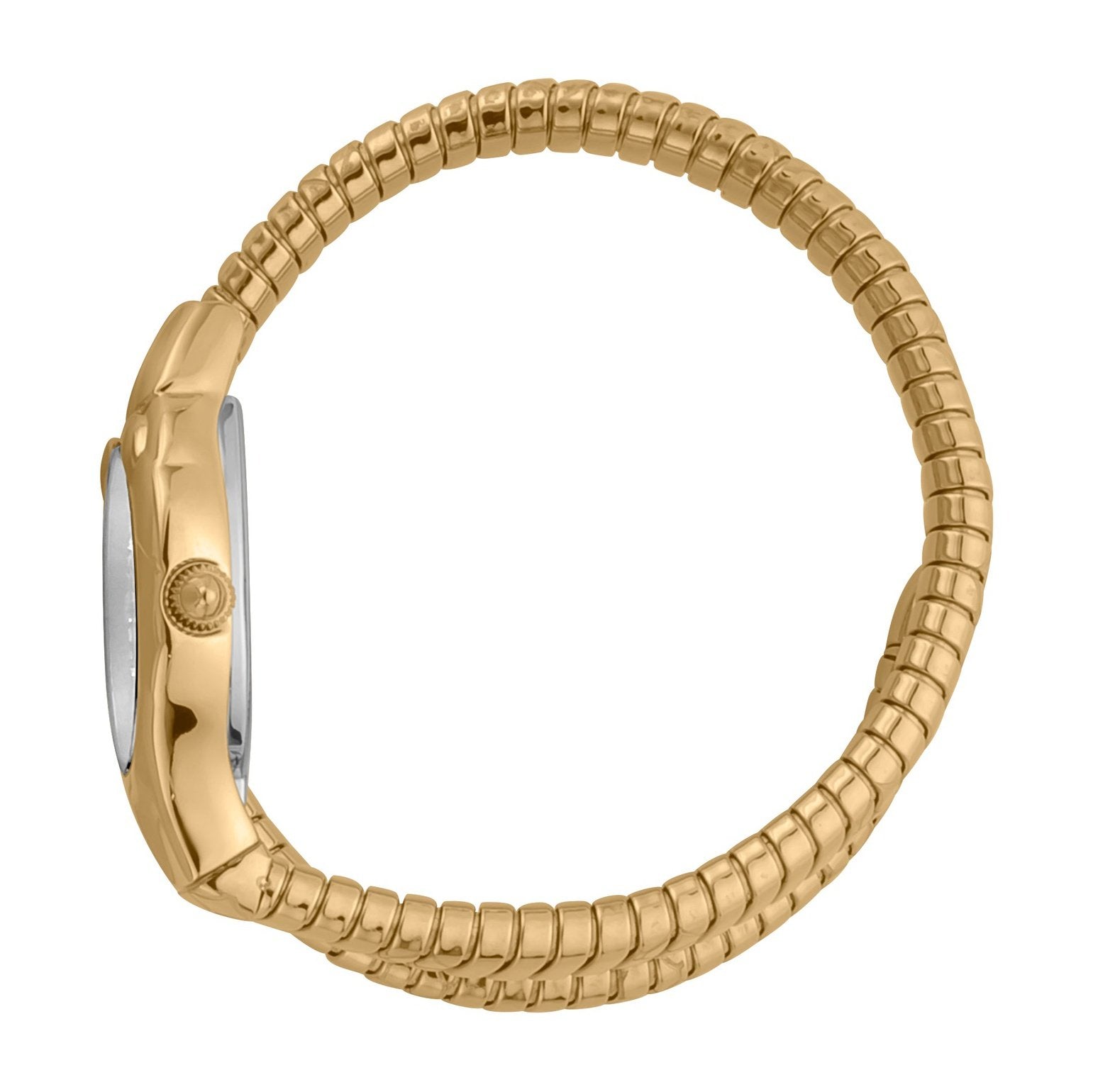 Ladies Serpente Corto Watch JC1L186M0035 Just Cavalli