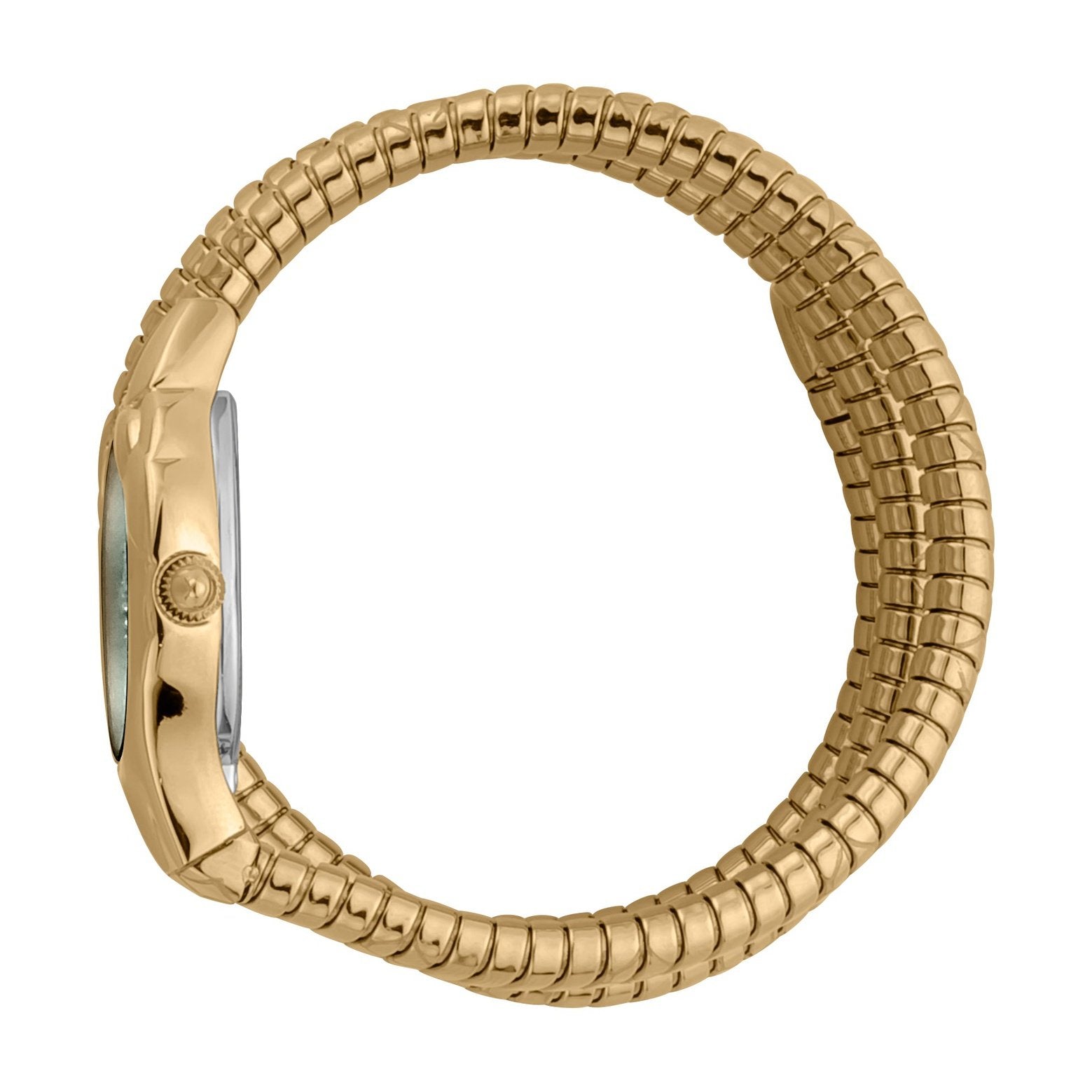 Ladies Serpente Lungo Watch JC1L189M0045 Just Cavalli