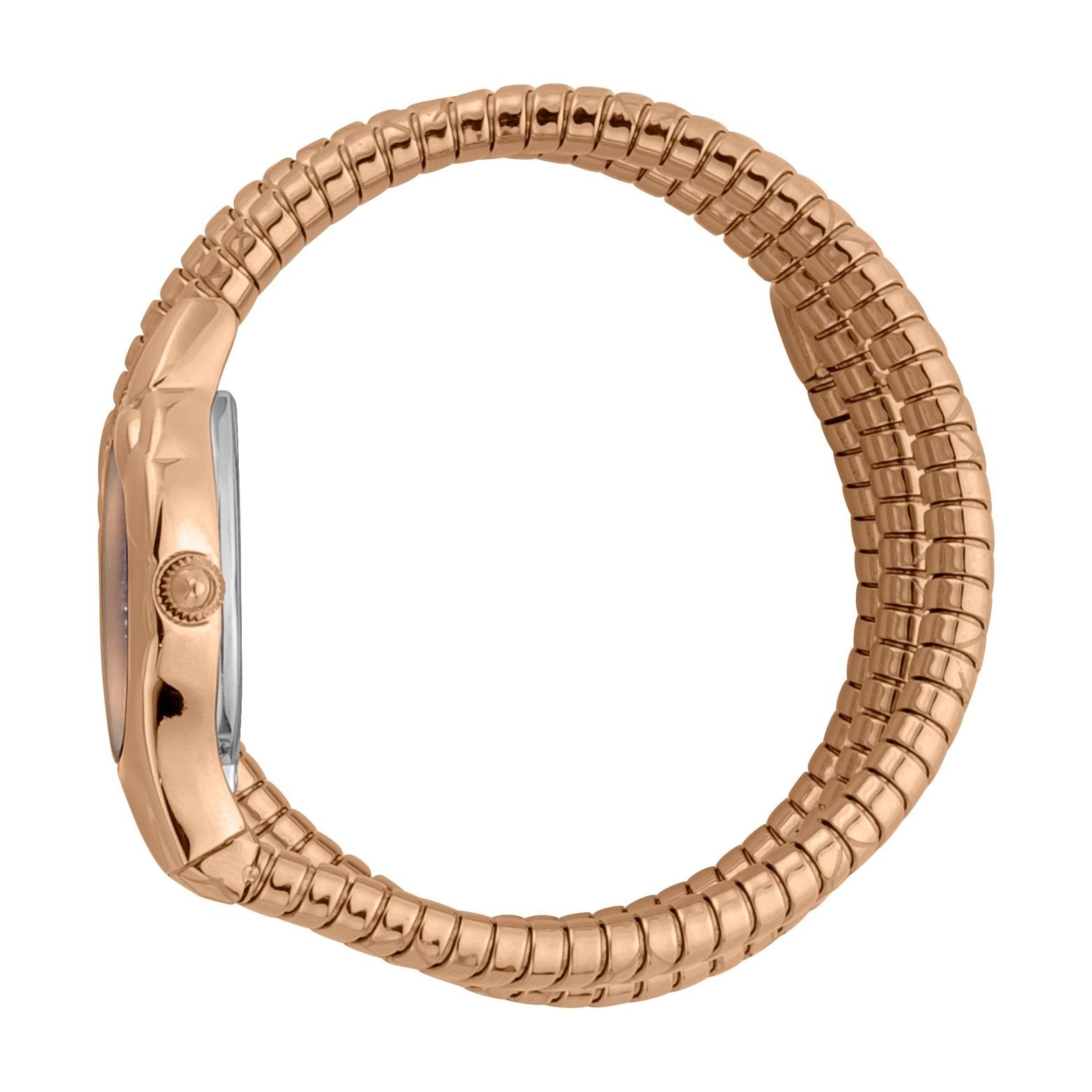 Ladies Serpente Lungo Watch JC1L189M0065 Just Cavalli