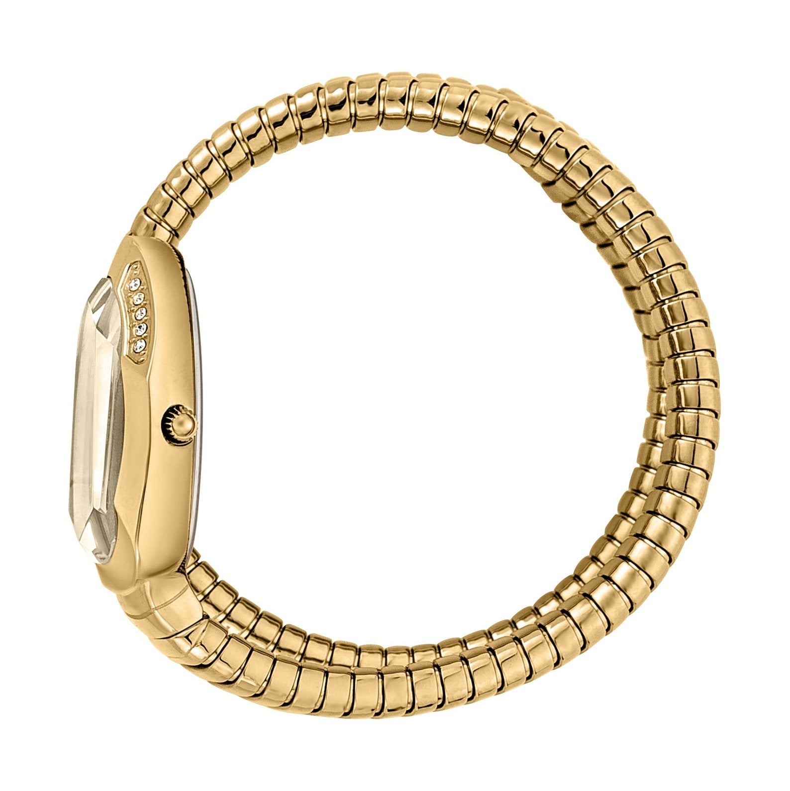 Ladies Serpente Watch JC1L209M0035 Just Cavalli