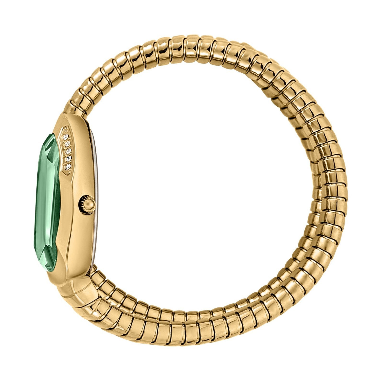 Ladies Serpente Watch JC1L209M0045 Just Cavalli