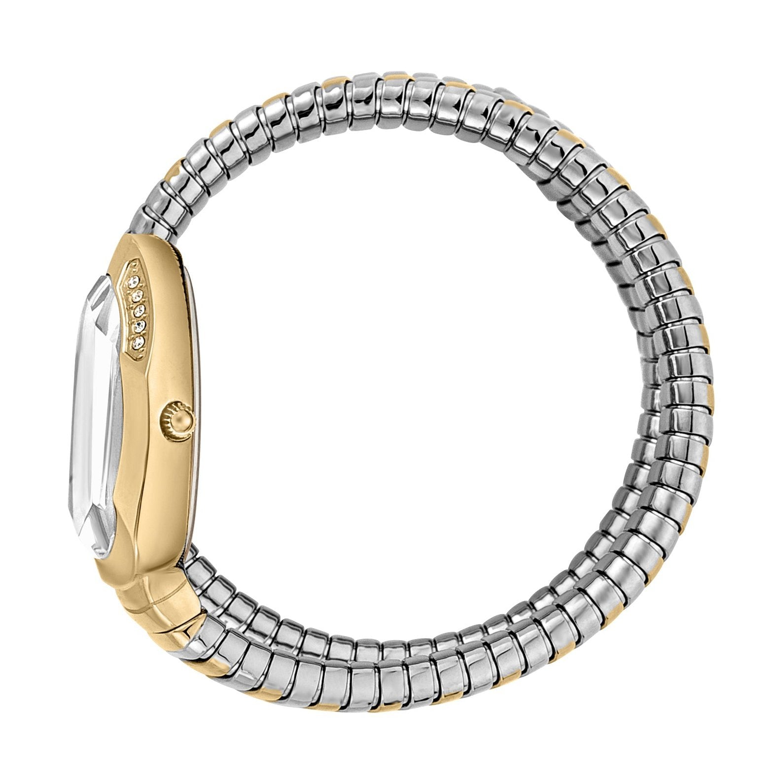 Ladies Serpente Watch JC1L209M0065 Just Cavalli