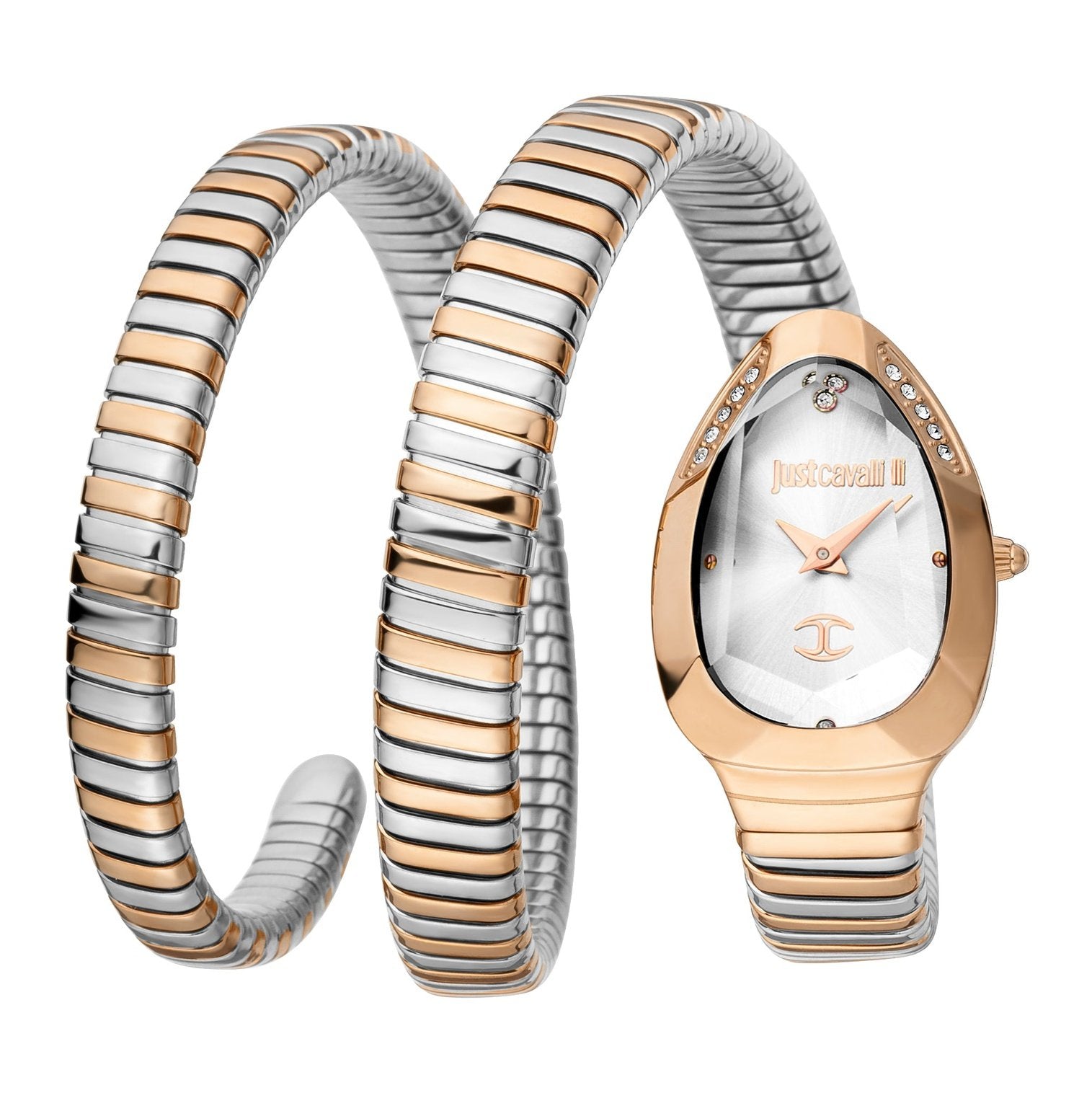 Ladies Serpente Watch JC1L209M0075 Just Cavalli
