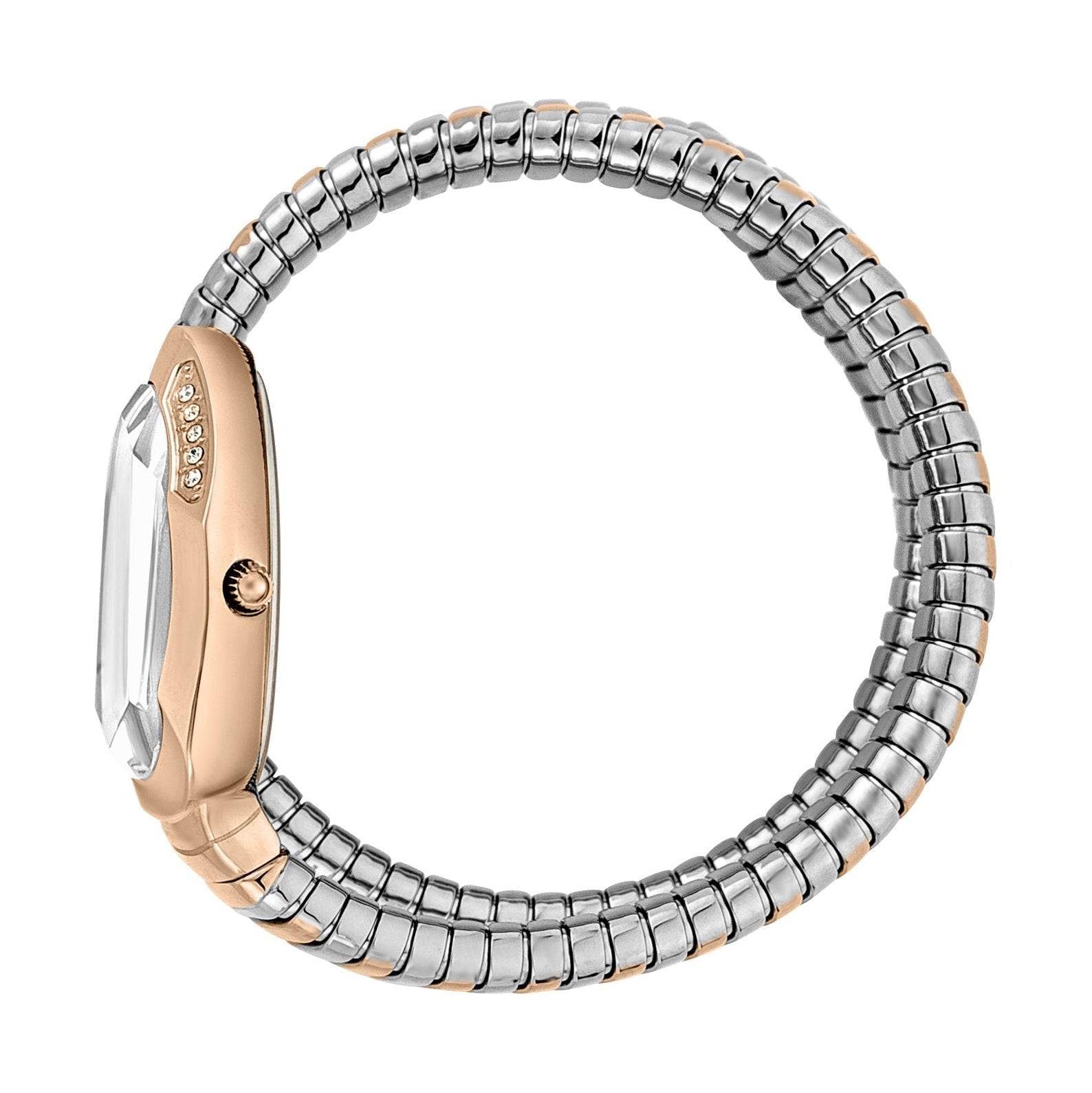 Ladies Serpente Watch JC1L209M0075 Just Cavalli