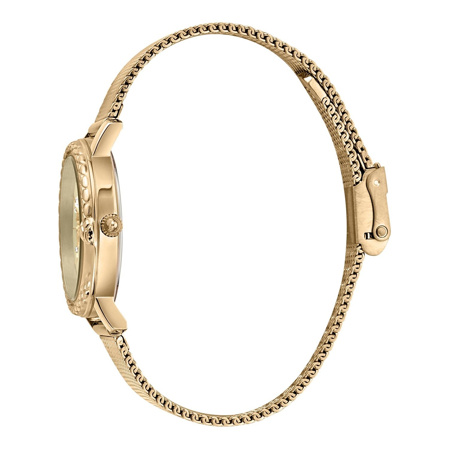 Ladies Brilliante Watch JC1L212M0235 Just Cavalli