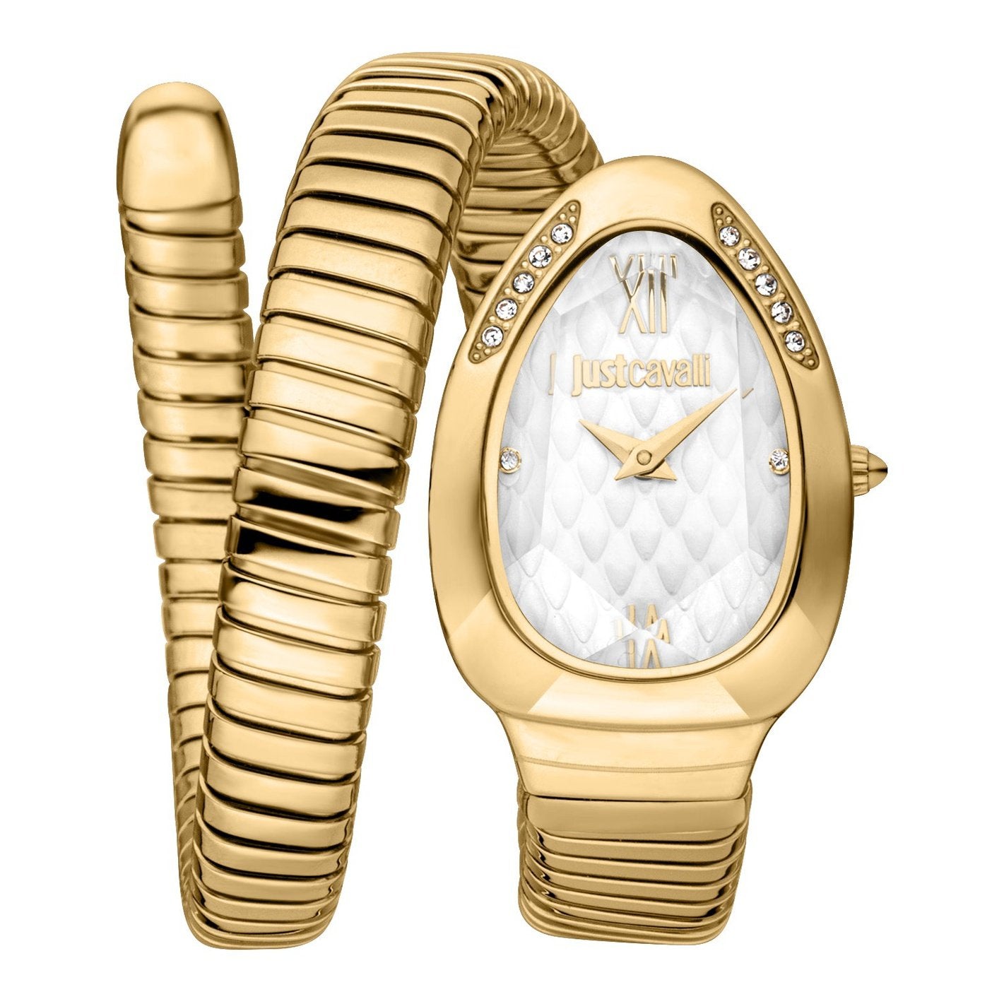 Ladies Taglio Solo Watch JC1L223M0025 Just Cavalli