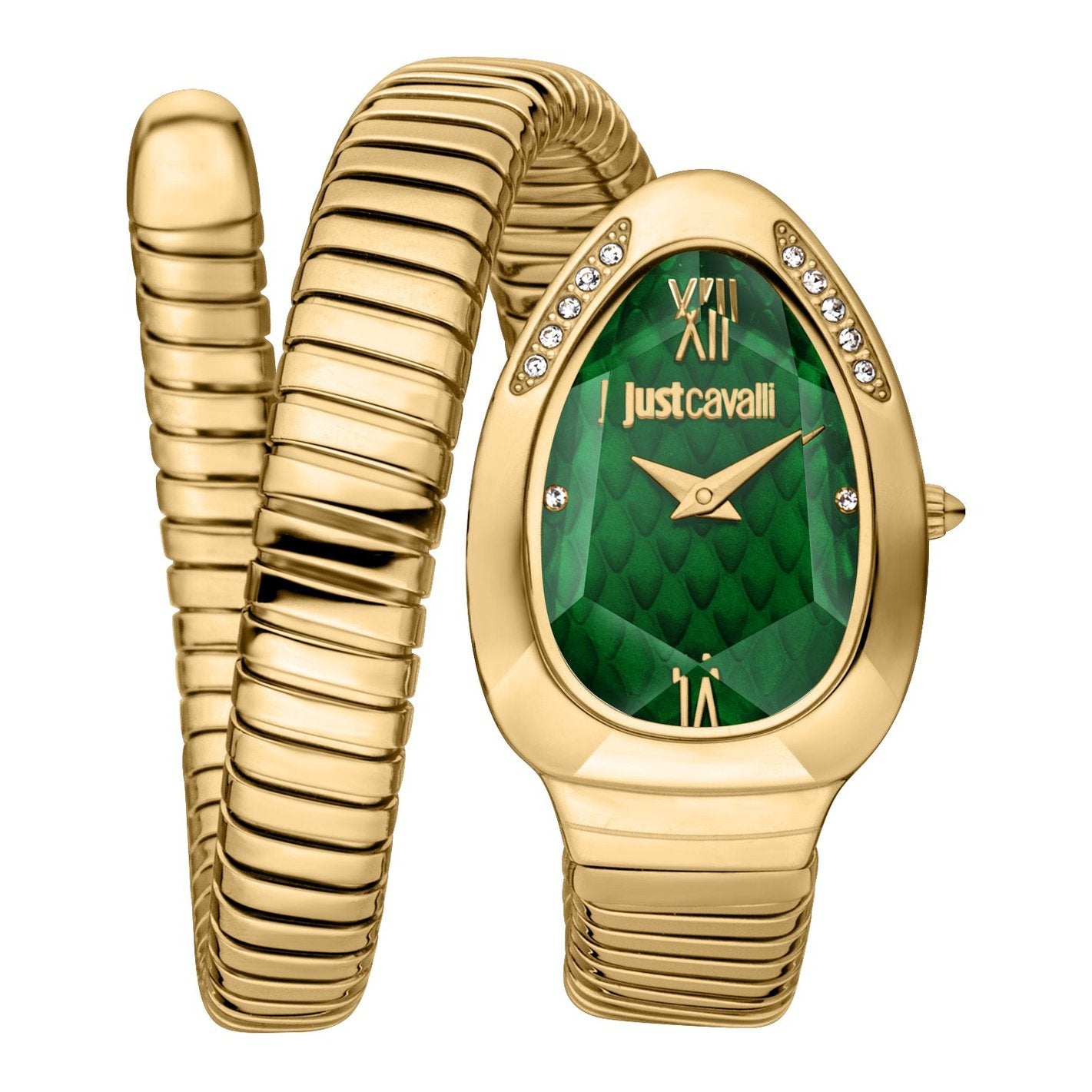Ladies Taglio Solo Watch JC1L223M0035 Just Cavalli