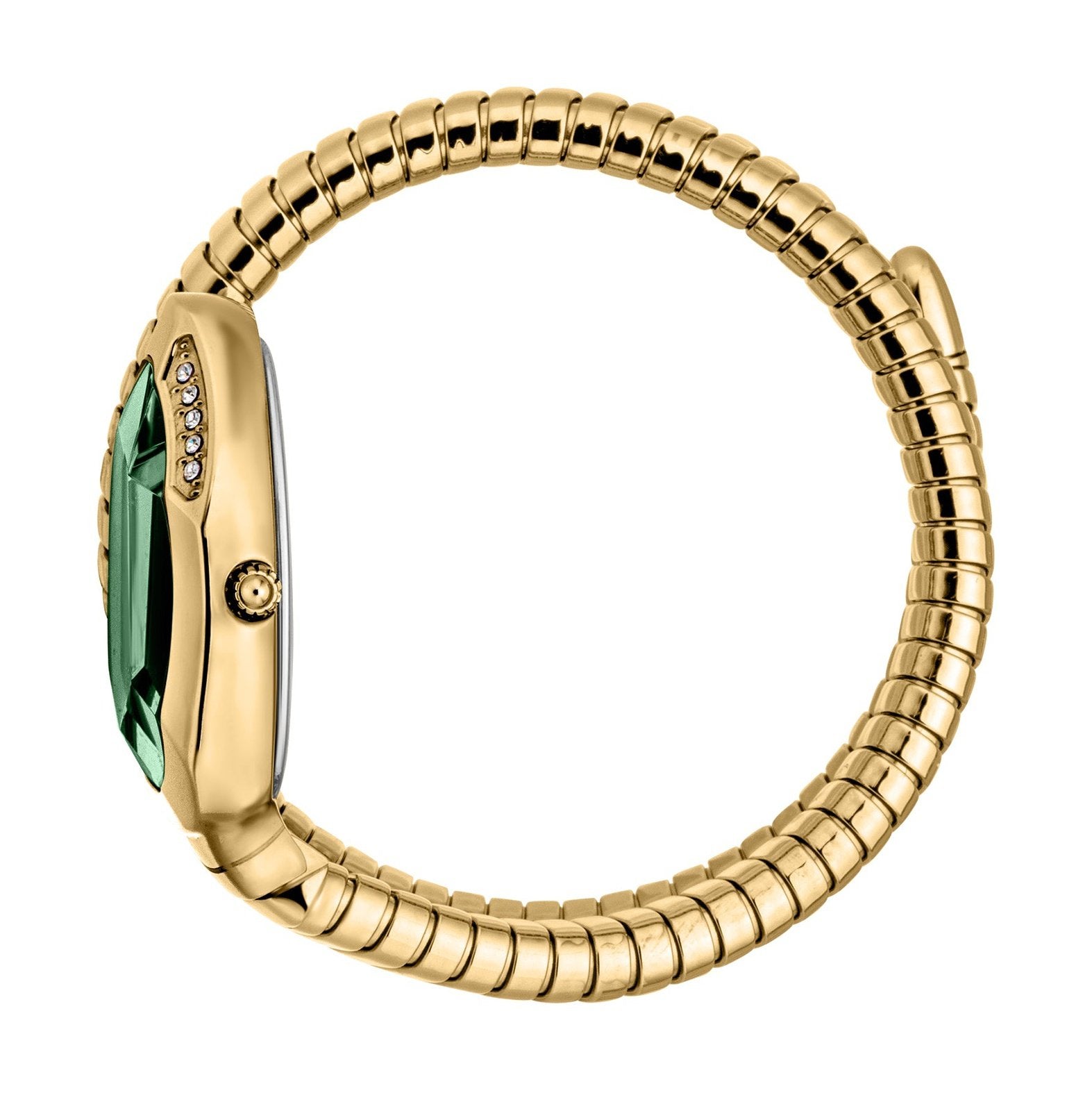 Ladies Taglio Solo Watch JC1L223M0035 Just Cavalli