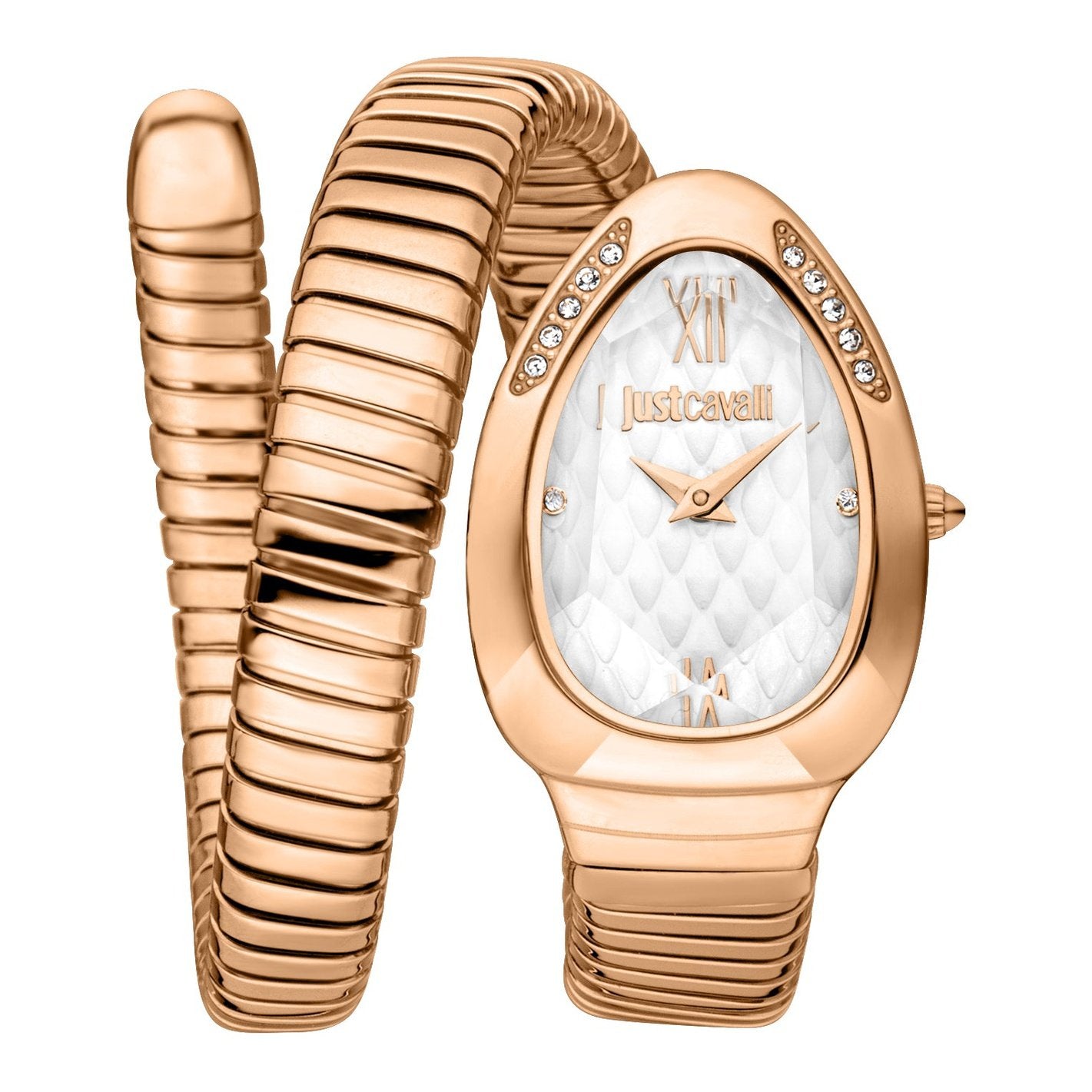 Ladies Taglio Solo Watch JC1L223M0045 Just Cavalli