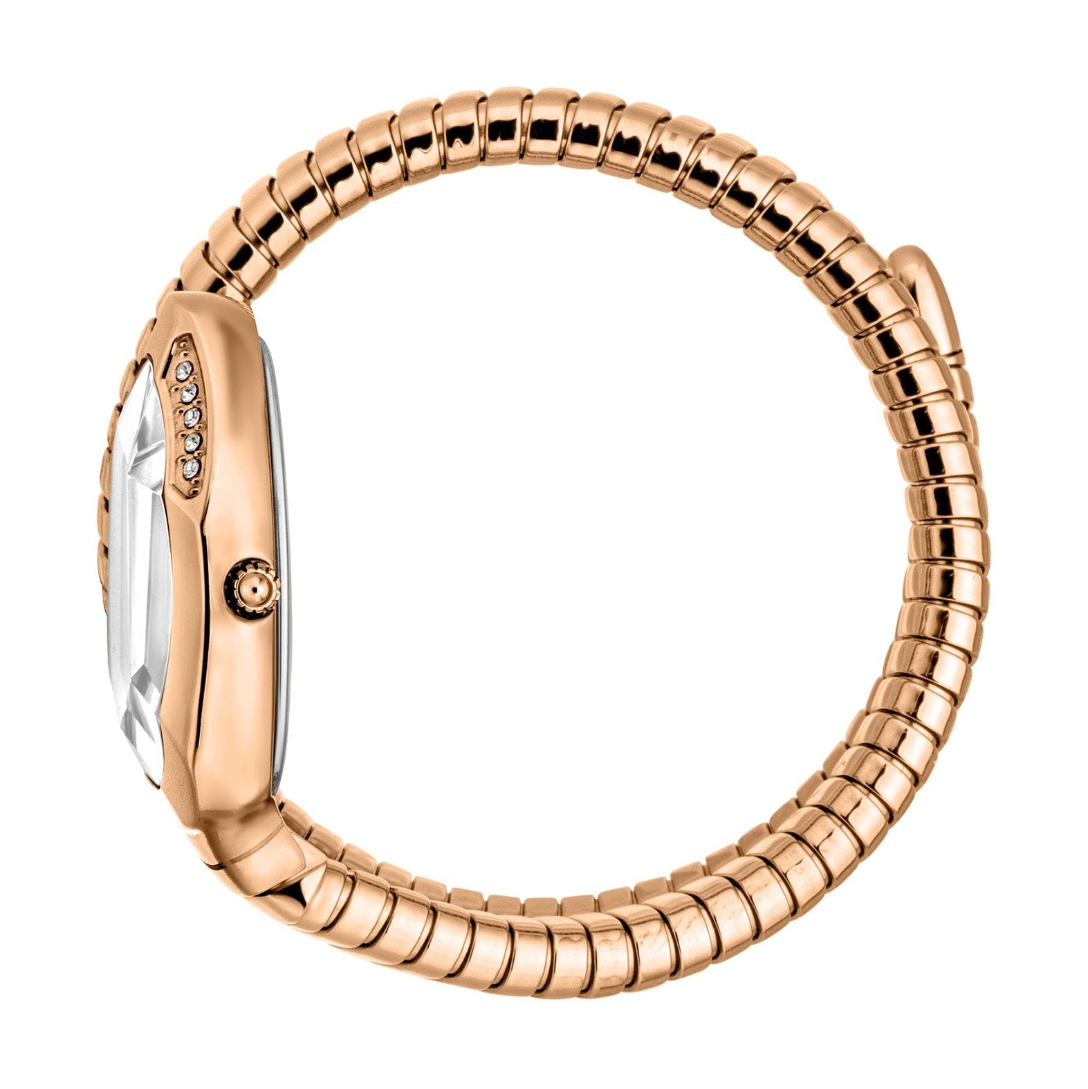 Ladies Taglio Solo Watch JC1L223M0045 Just Cavalli