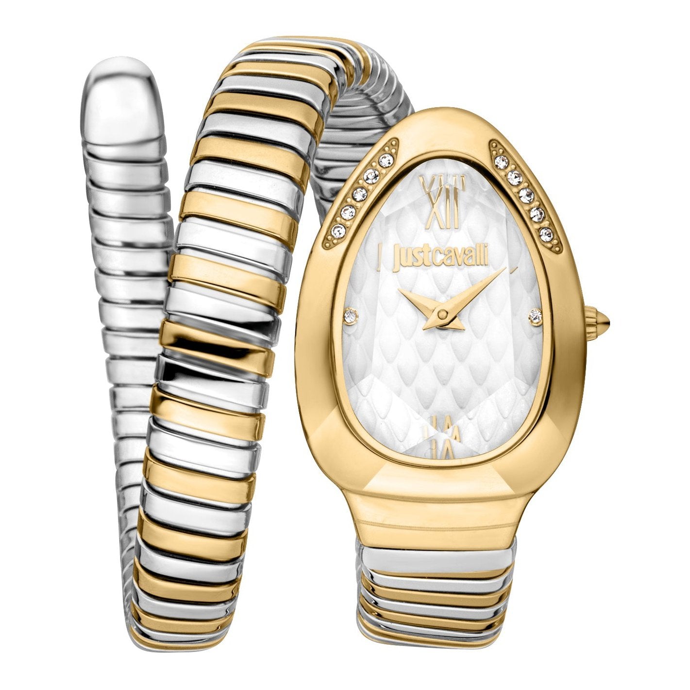 Ladies Taglio Solo Watch JC1L223M0055 Just Cavalli