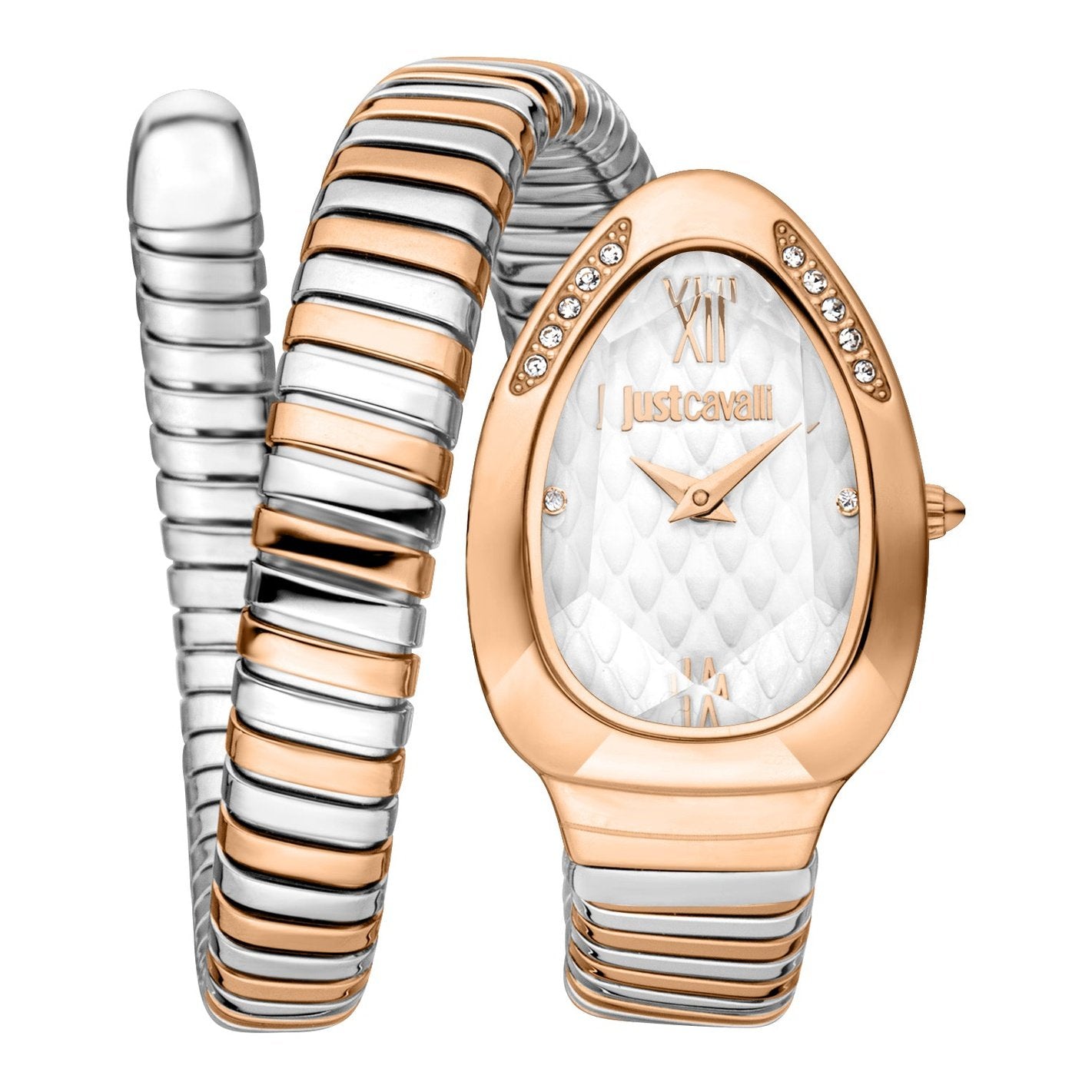 Ladies Taglio Solo Watch JC1L223M0065 Just Cavalli