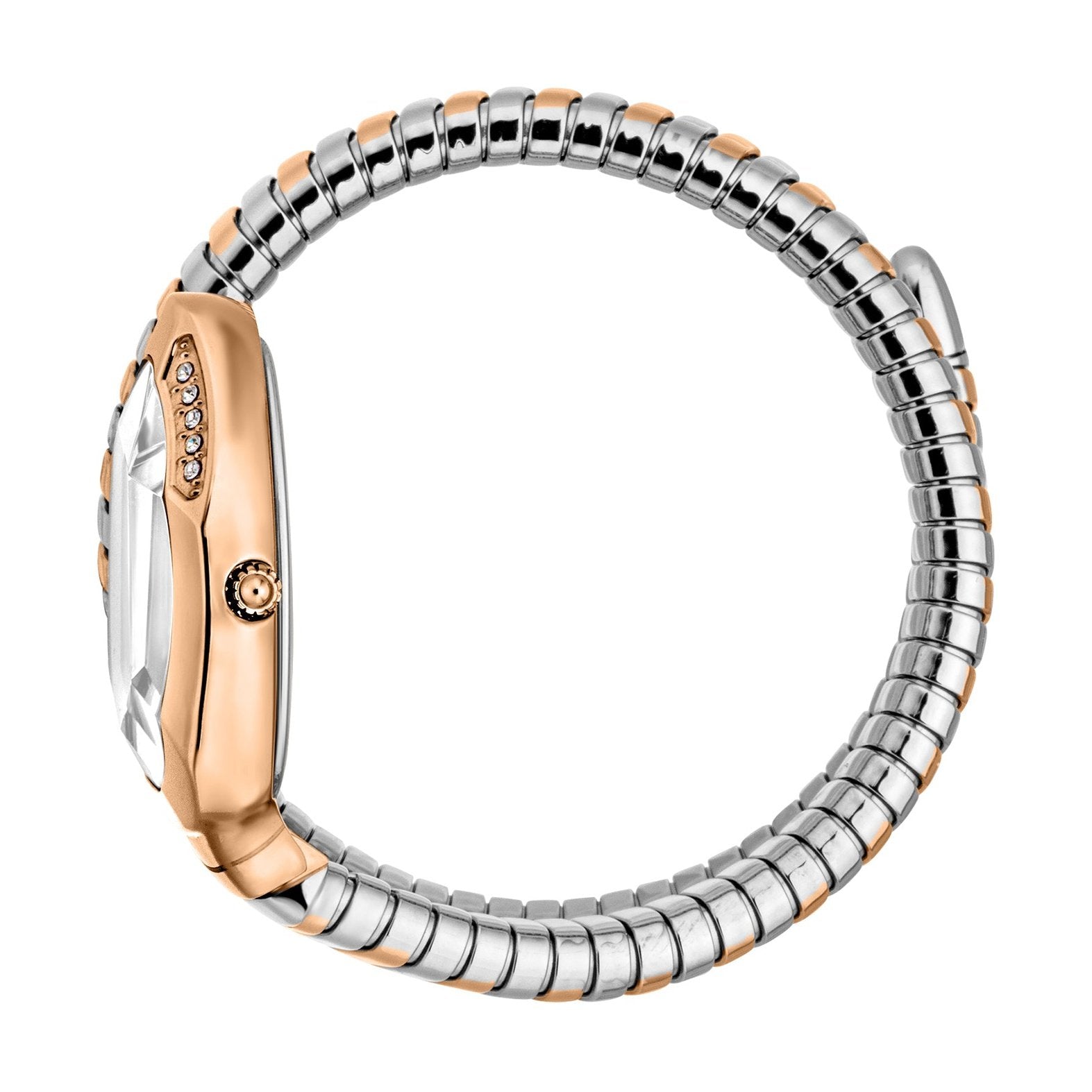 Ladies Taglio Solo Watch JC1L223M0065 Just Cavalli