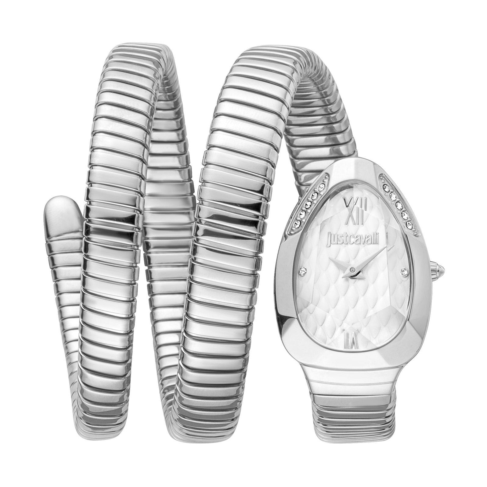 Ladies Just Glam Evo 9 Watch JC1L224M0015 Just Cavalli
