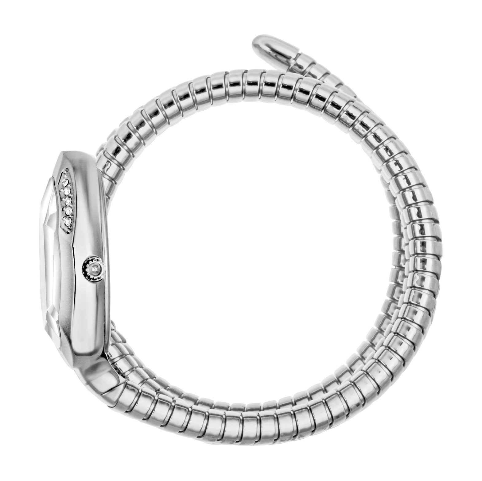 Ladies Just Glam Evo 9 Watch JC1L224M0015 Just Cavalli