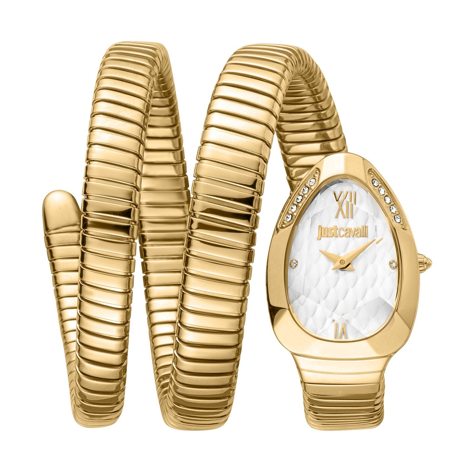 Ladies Just Glam Evo 9 Watch JC1L224M0035 Just Cavalli