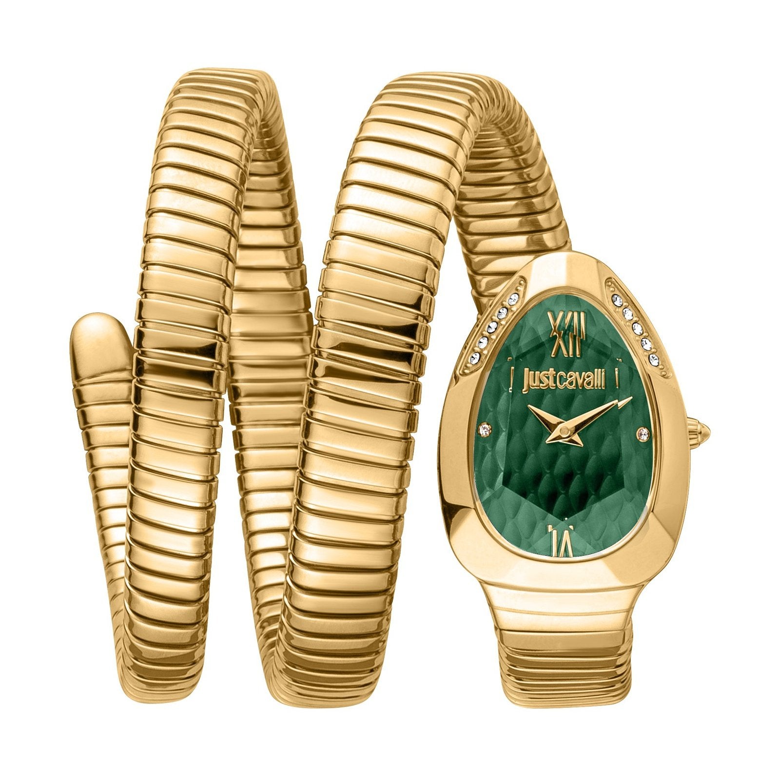 Ladies Just Glam Evo 9 Watch JC1L224M0045 Just Cavalli