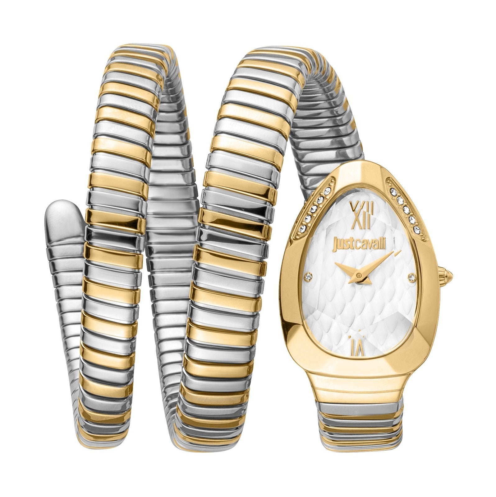 Ladies Just Glam Evo 9 Watch JC1L224M0065 Just Cavalli