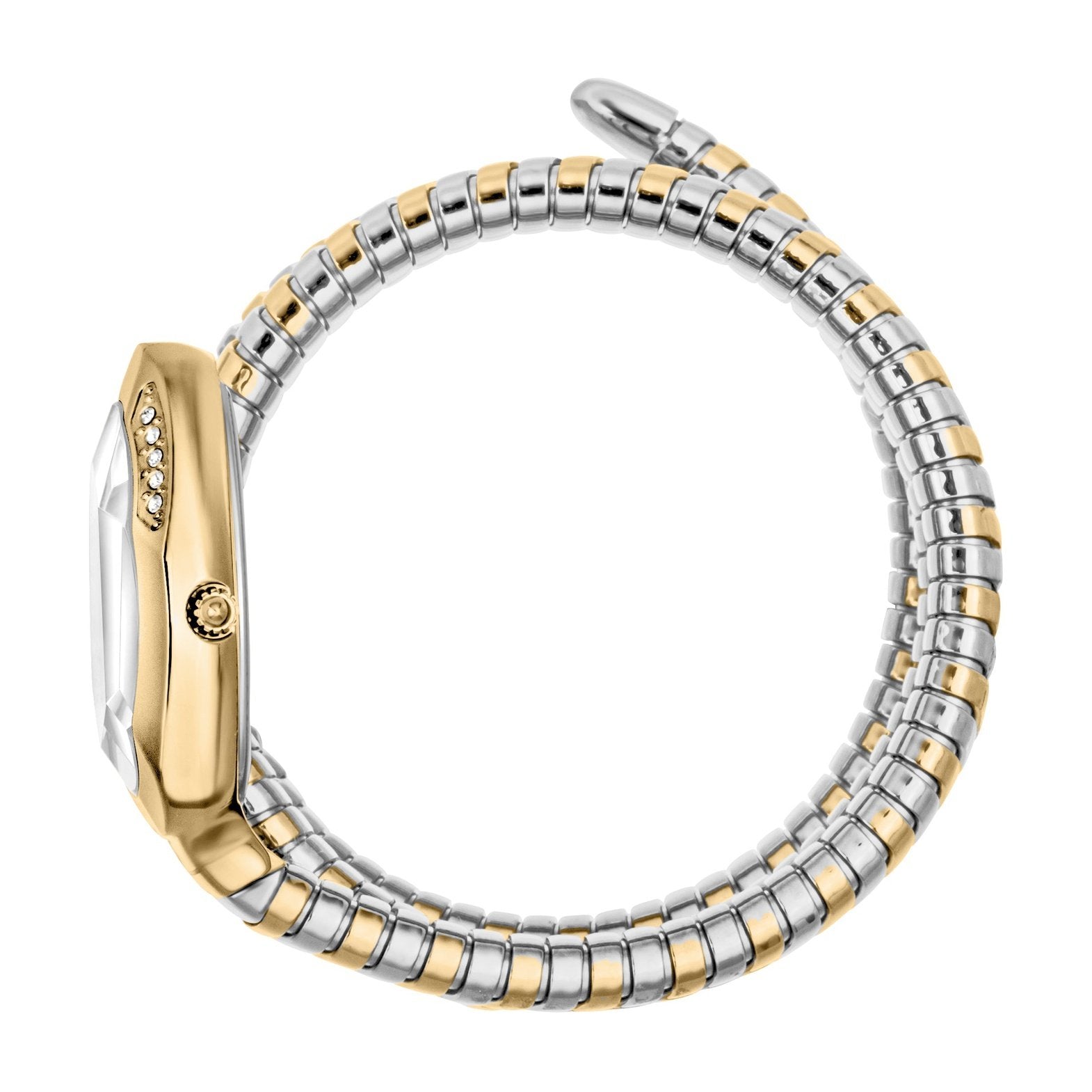 Ladies Just Glam Evo 9 Watch JC1L224M0065 Just Cavalli