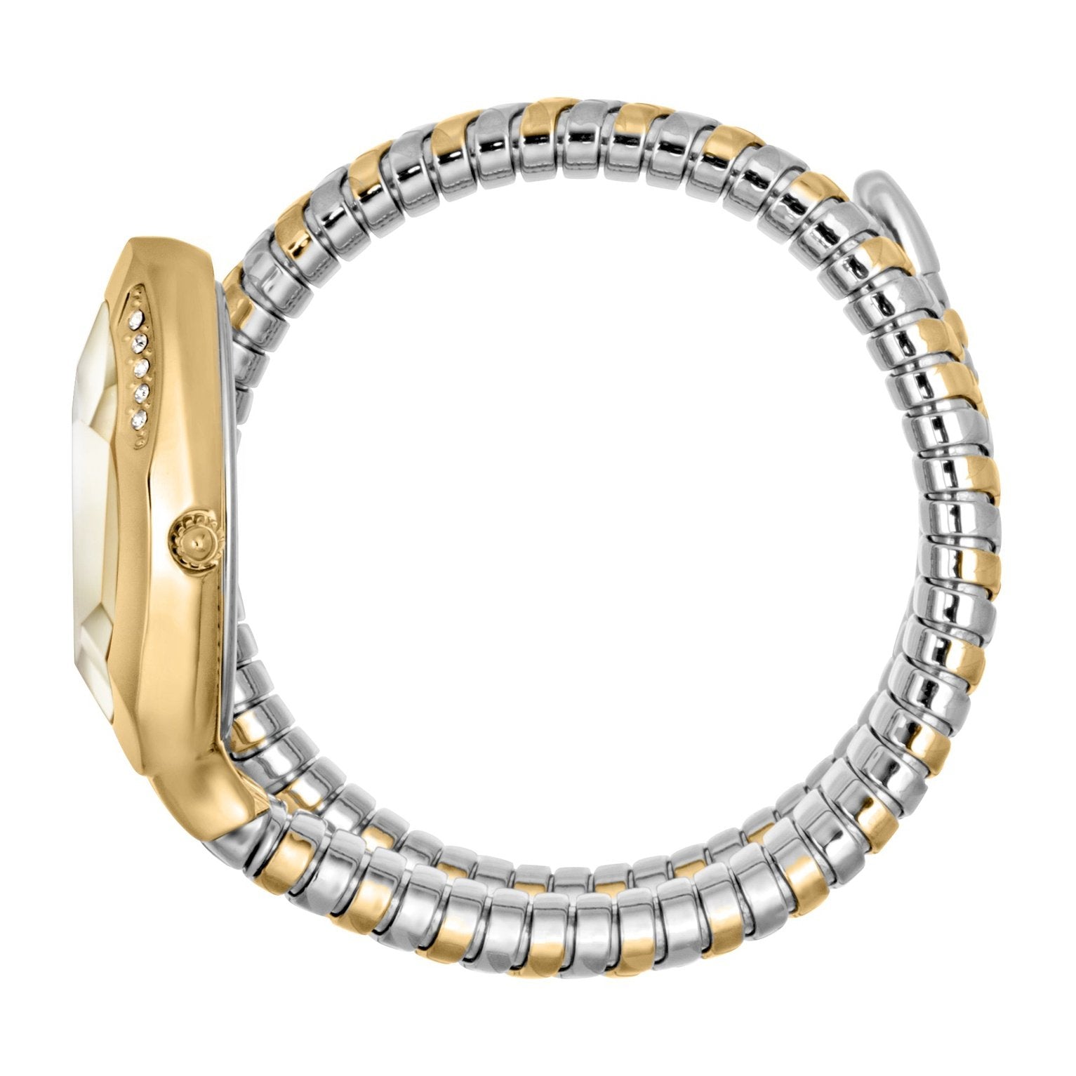 Ladies Just Glam Evo 8 Watch JC1L225M0075 Just Cavalli