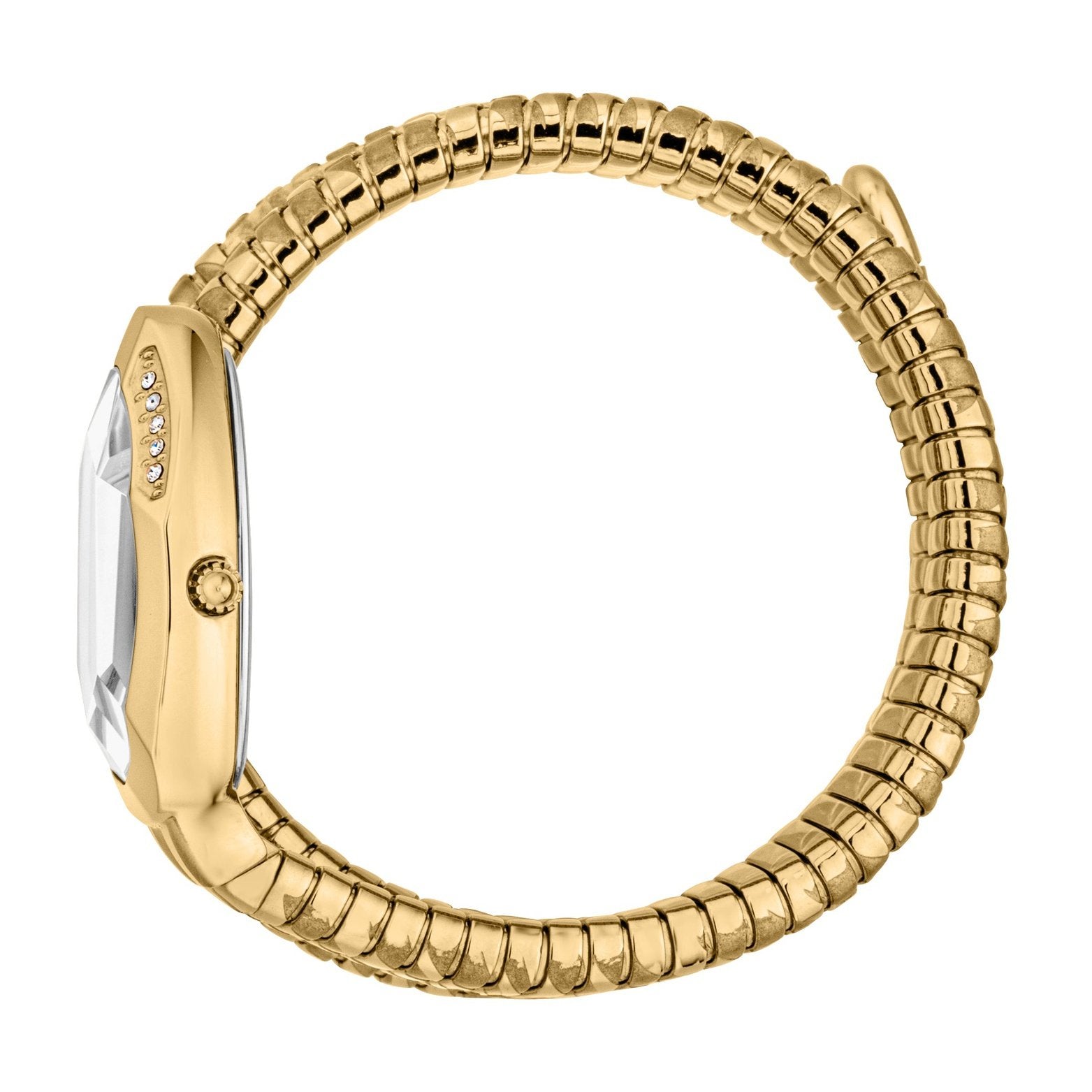 Ladies Serpente Taglio Watch JC1L226M0025 Just Cavalli