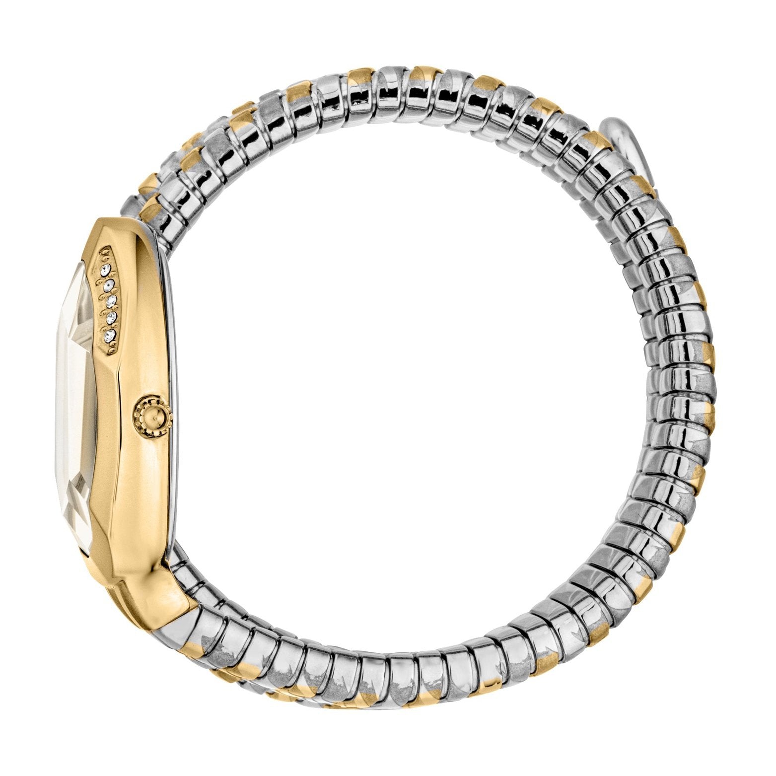 Ladies Serpente Taglio Watch JC1L226M0055 Just Cavalli