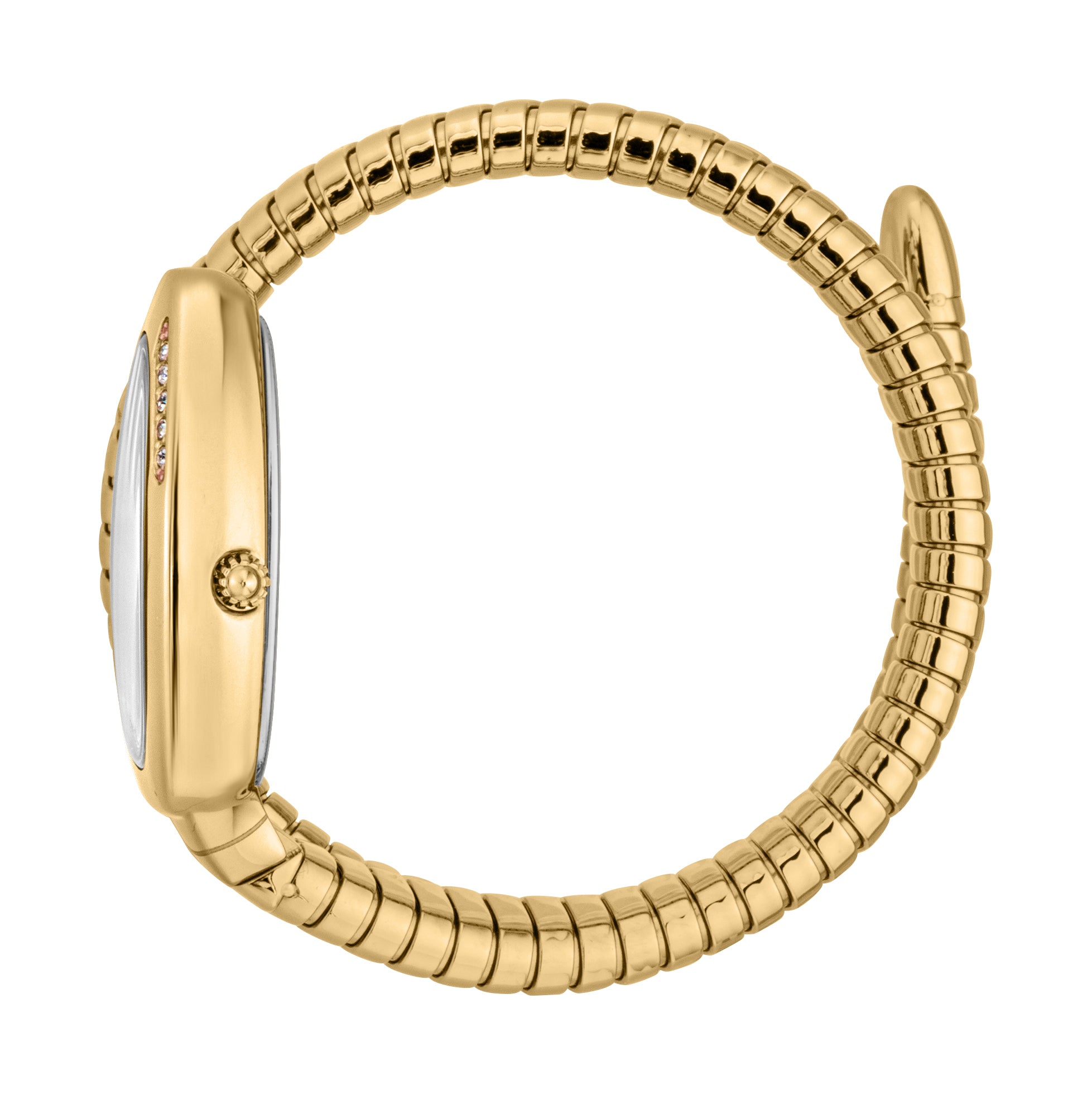 Ladies Serpente Logo Watch JC1L227M0035 Just Cavalli