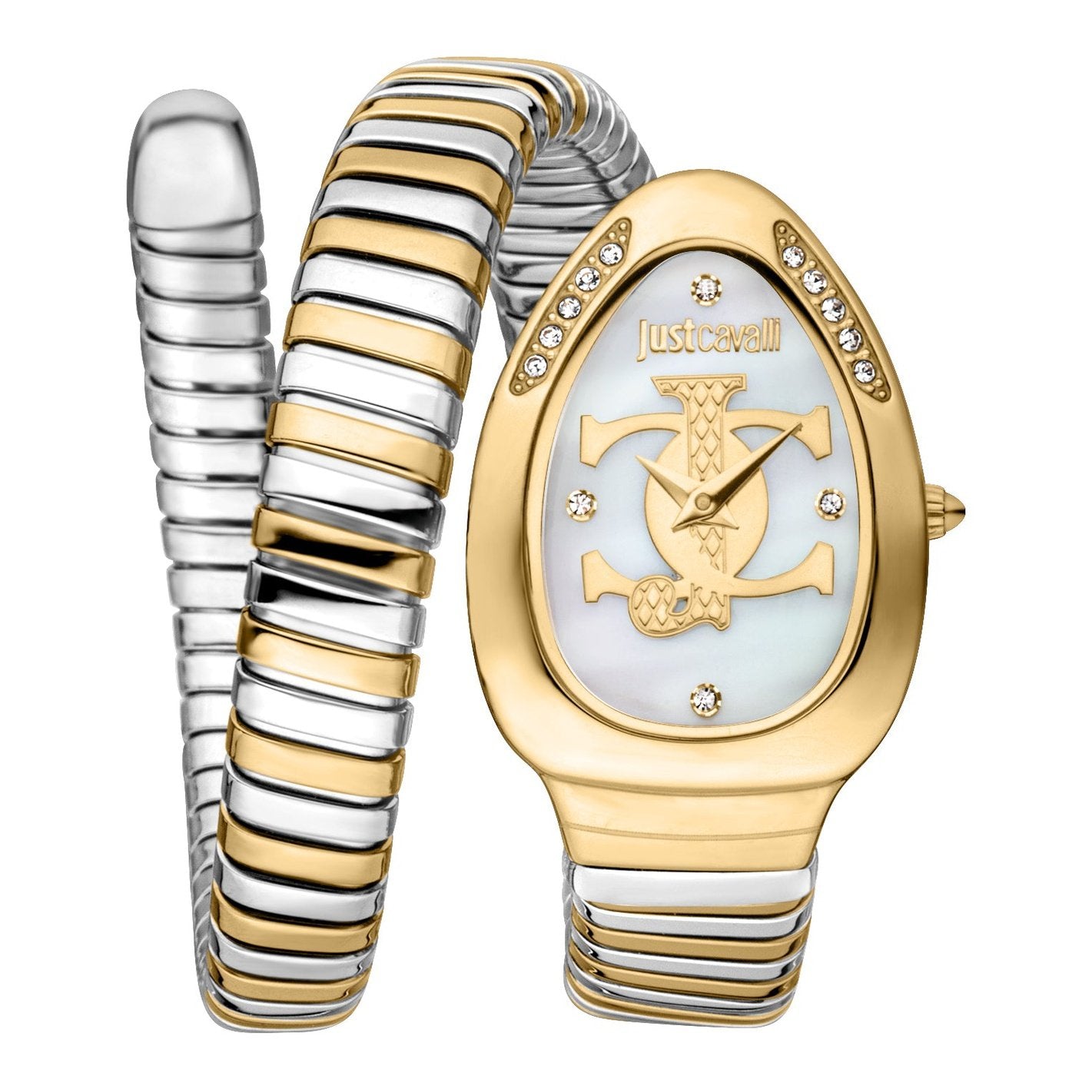 Ladies Serpente Logo Watch JC1L227M0065 Just Cavalli