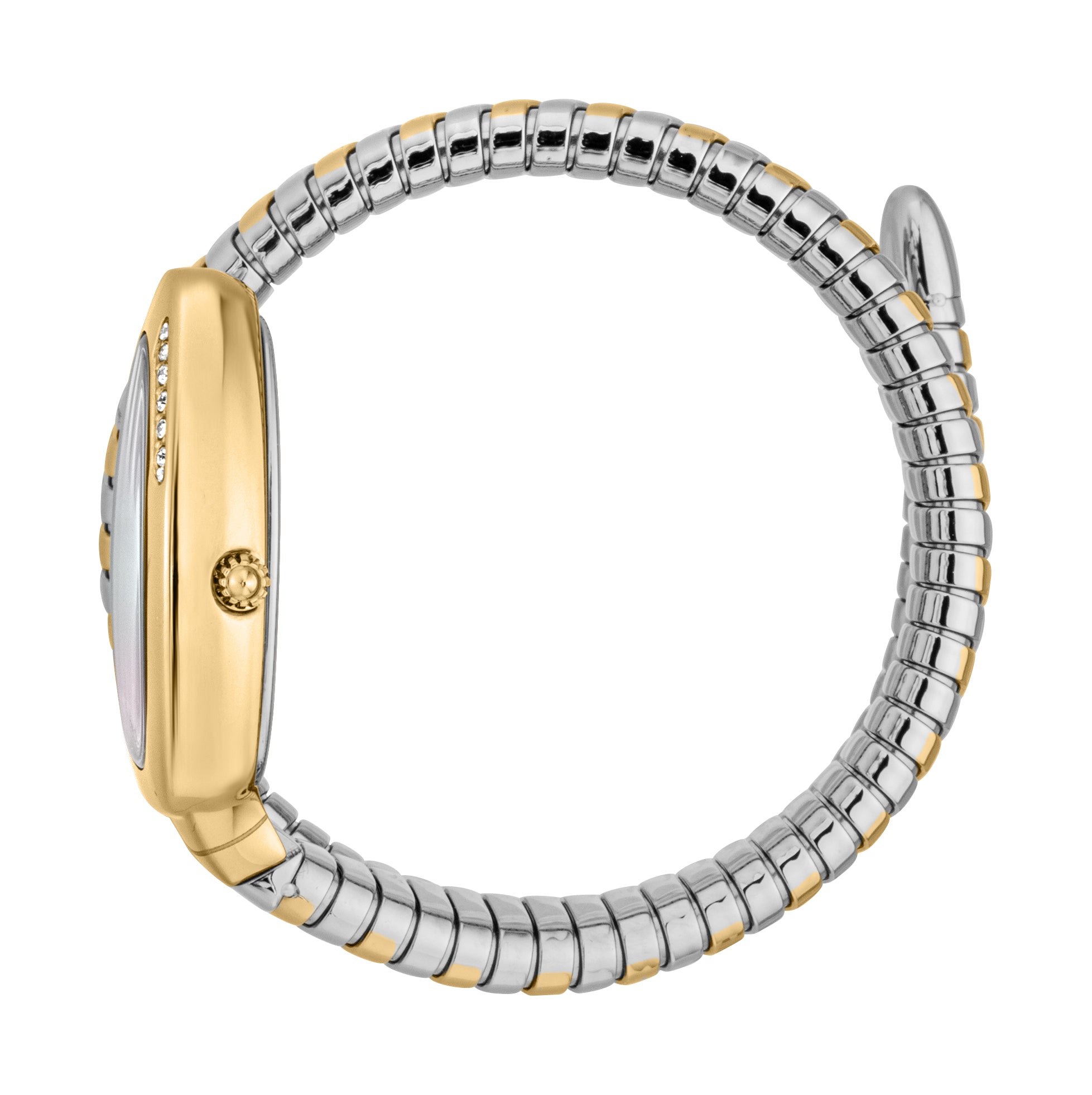 Ladies Serpente Logo Watch JC1L227M0065 Just Cavalli