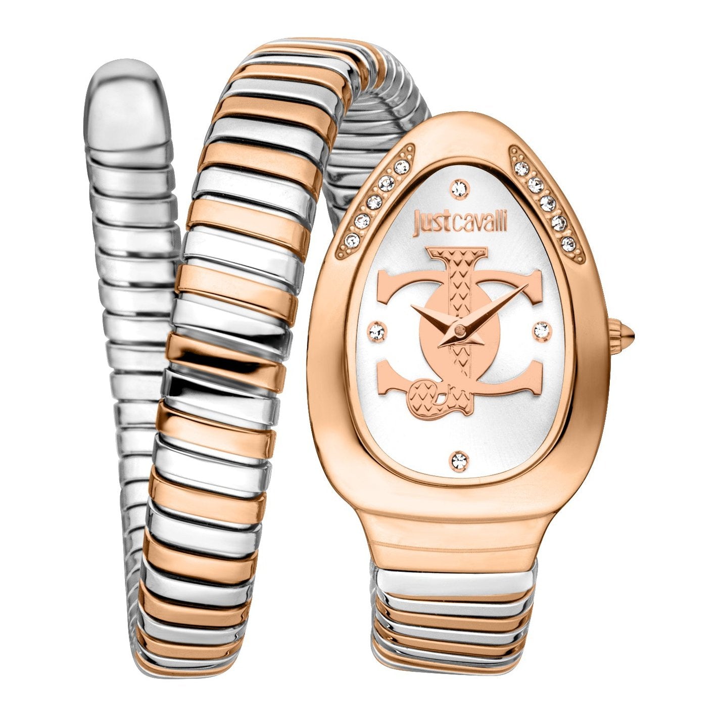 Ladies Serpente Logo Watch JC1L227M0075 Just Cavalli