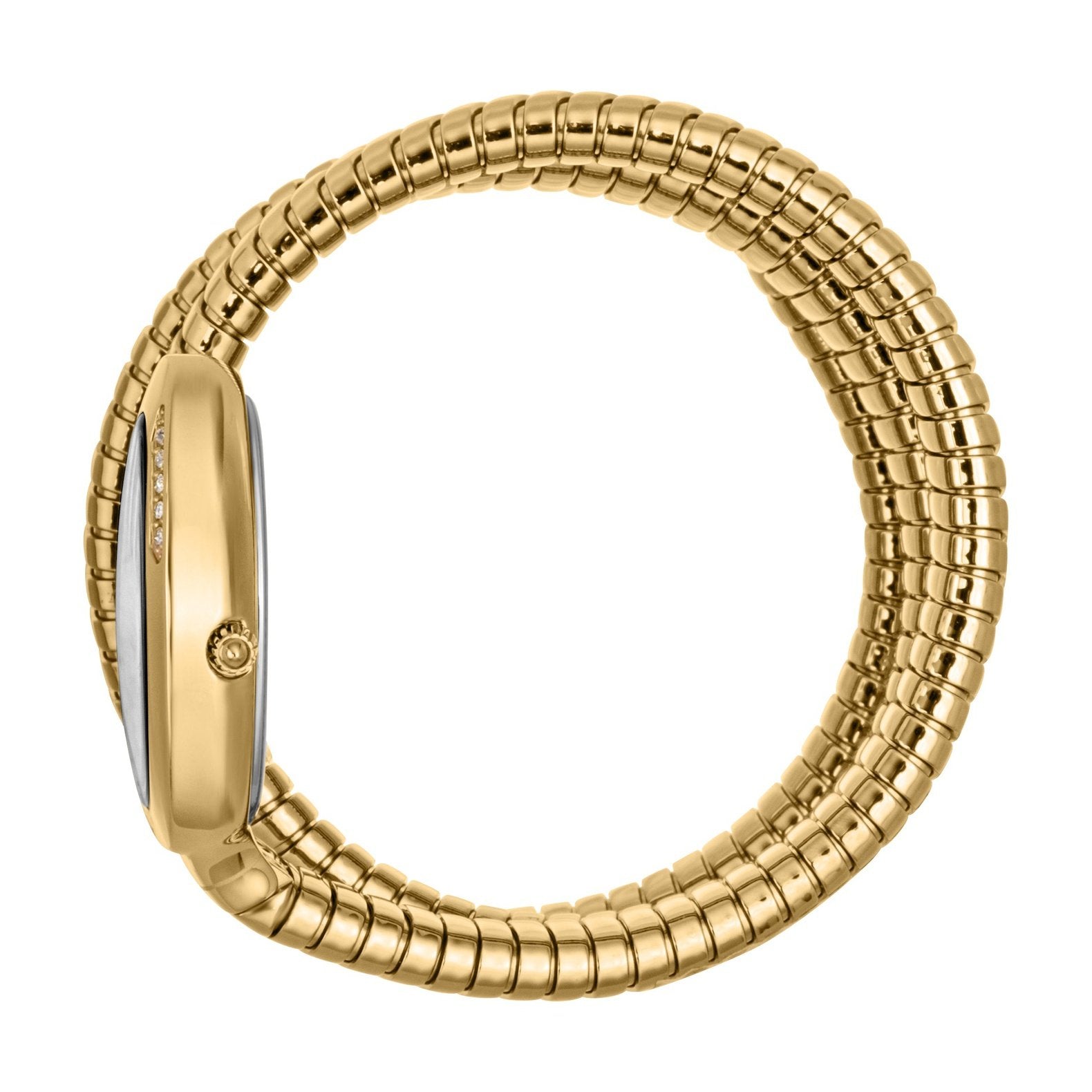 Ladies Just Glam Evo 5 Watch JC1L228M0035 Just Cavalli