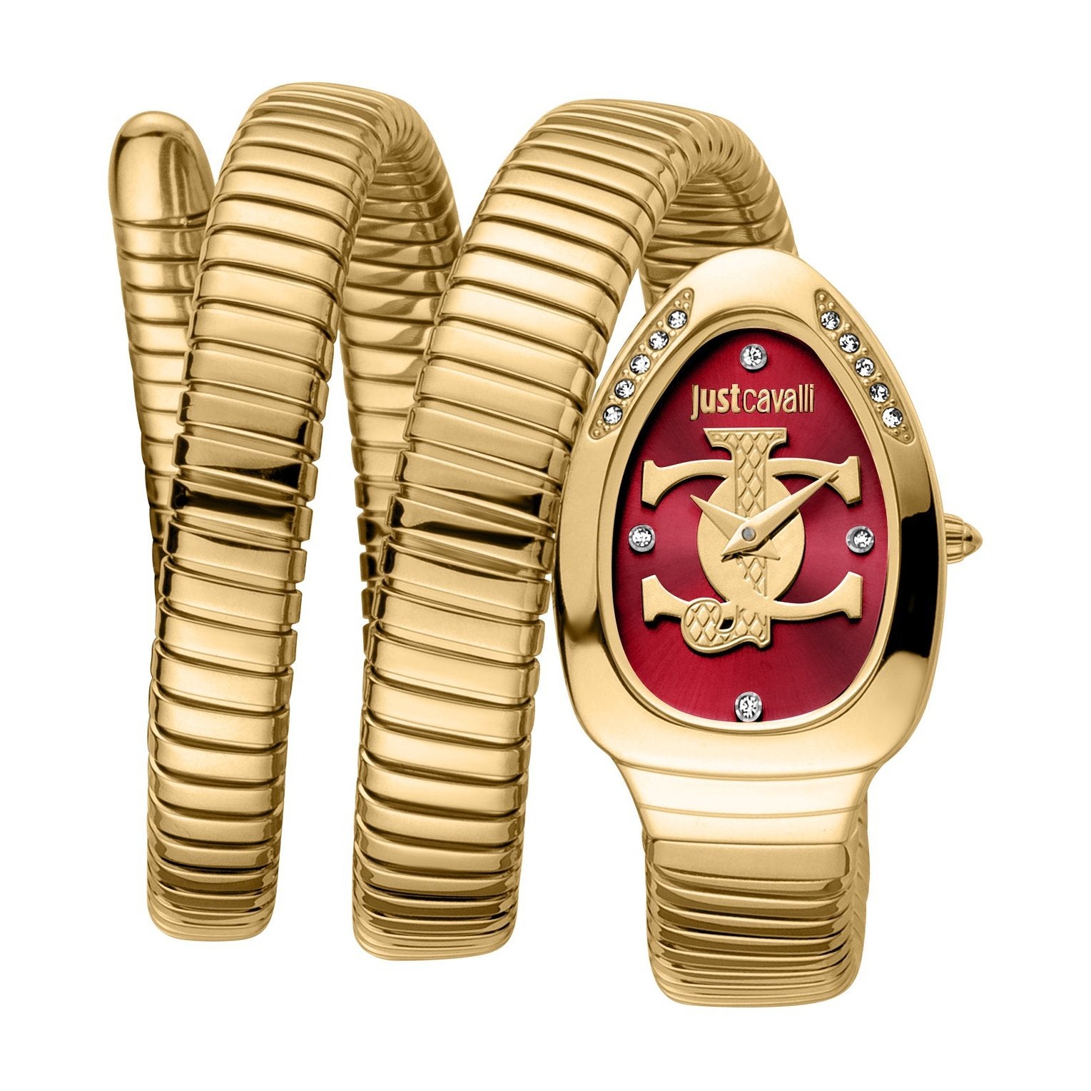 Ladies Just Glam Evo 5 Watch JC1L228M0045 Just Cavalli