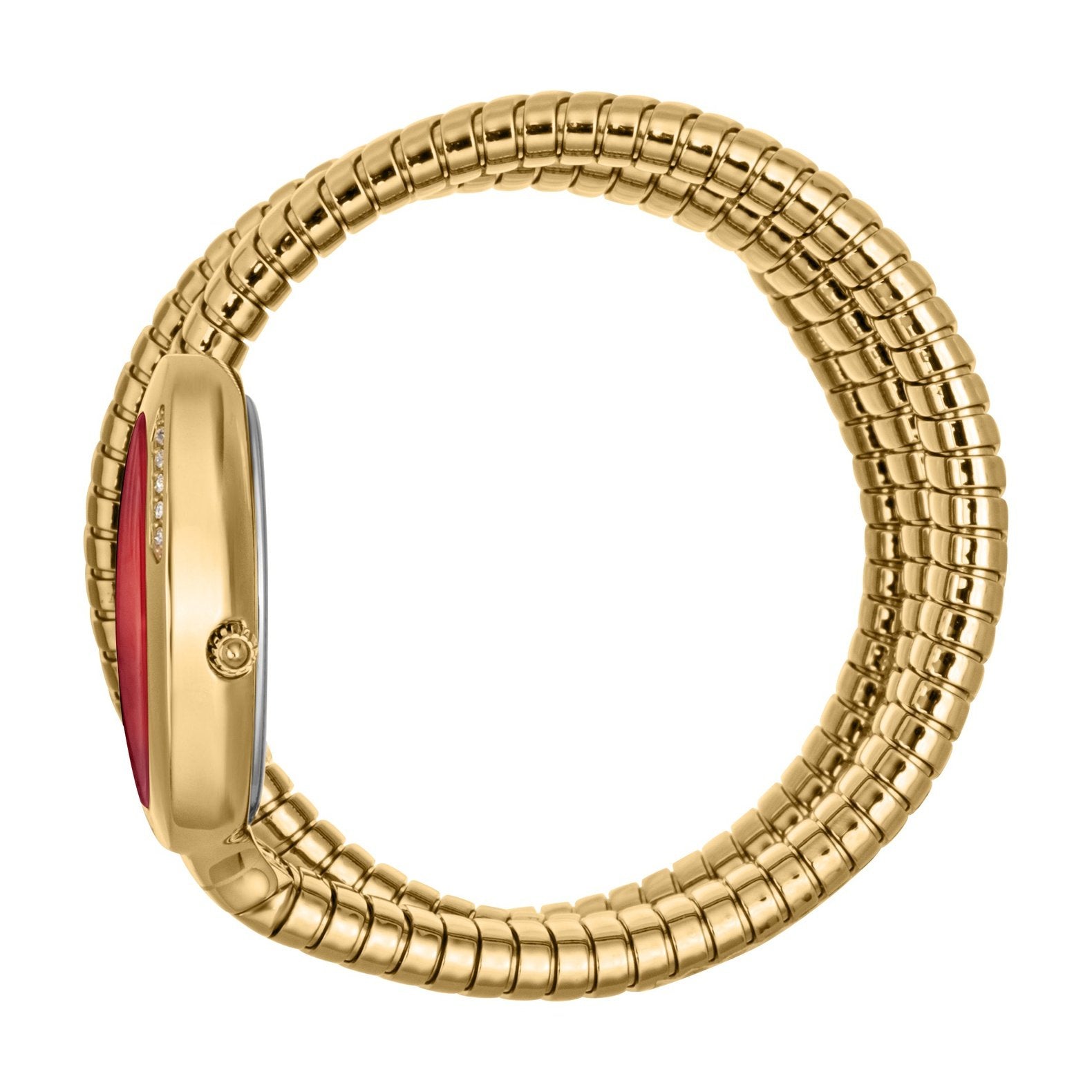 Ladies Just Glam Evo 5 Watch JC1L228M0045 Just Cavalli