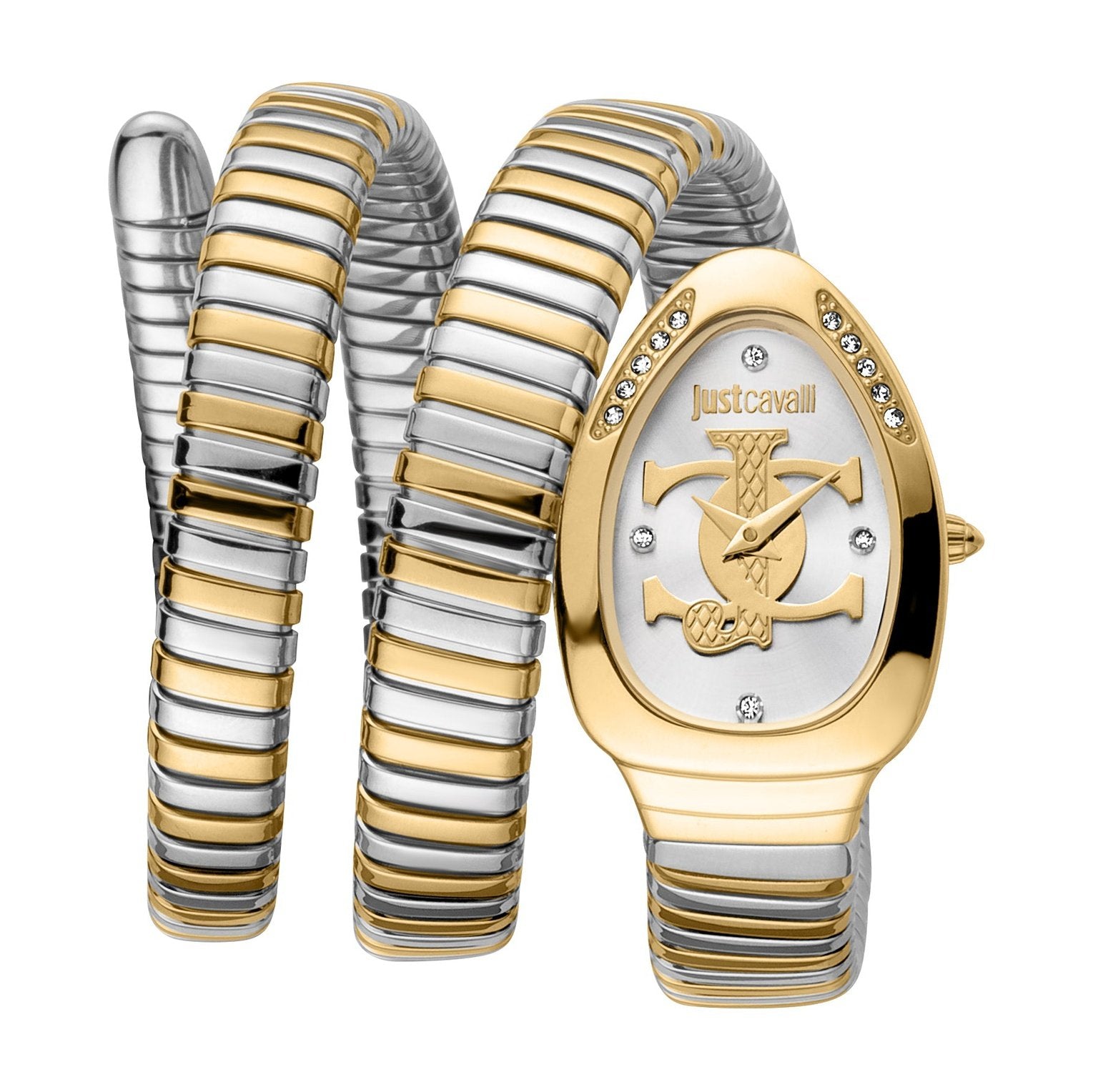 Ladies Just Glam Evo 5 Watch JC1L228M0065 Just Cavalli