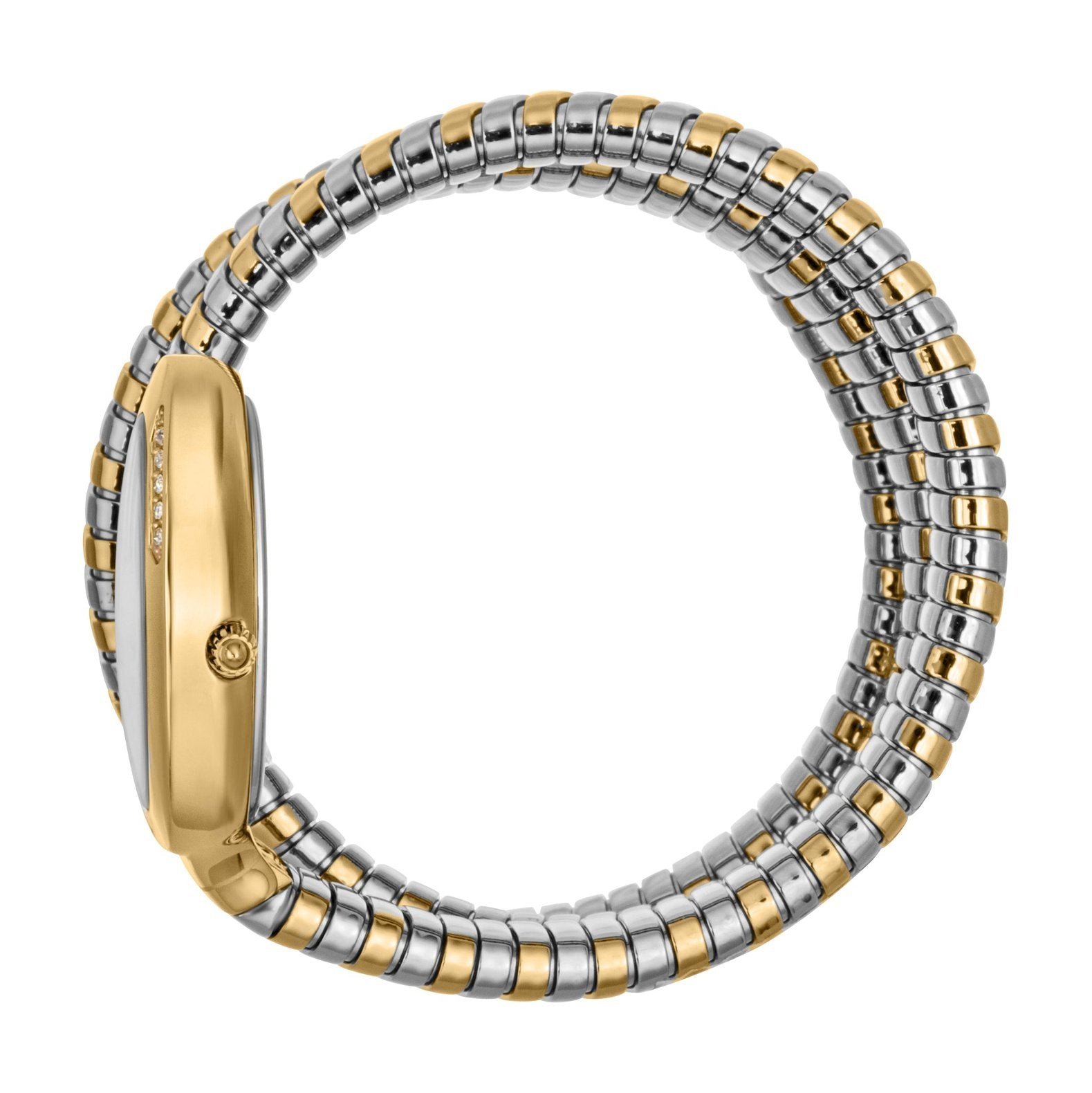 Ladies Just Glam Evo 5 Watch JC1L228M0065 Just Cavalli