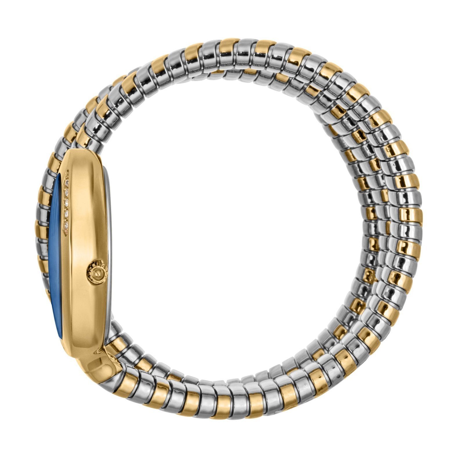Ladies Just Glam Evo 5 Watch JC1L228M0075 Just Cavalli