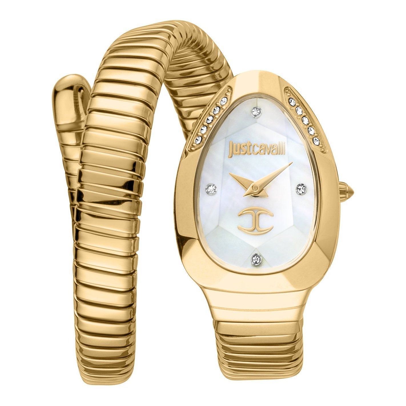 Ladies Just Glam Evo 4 Watch JC1L229M0025 Just Cavalli
