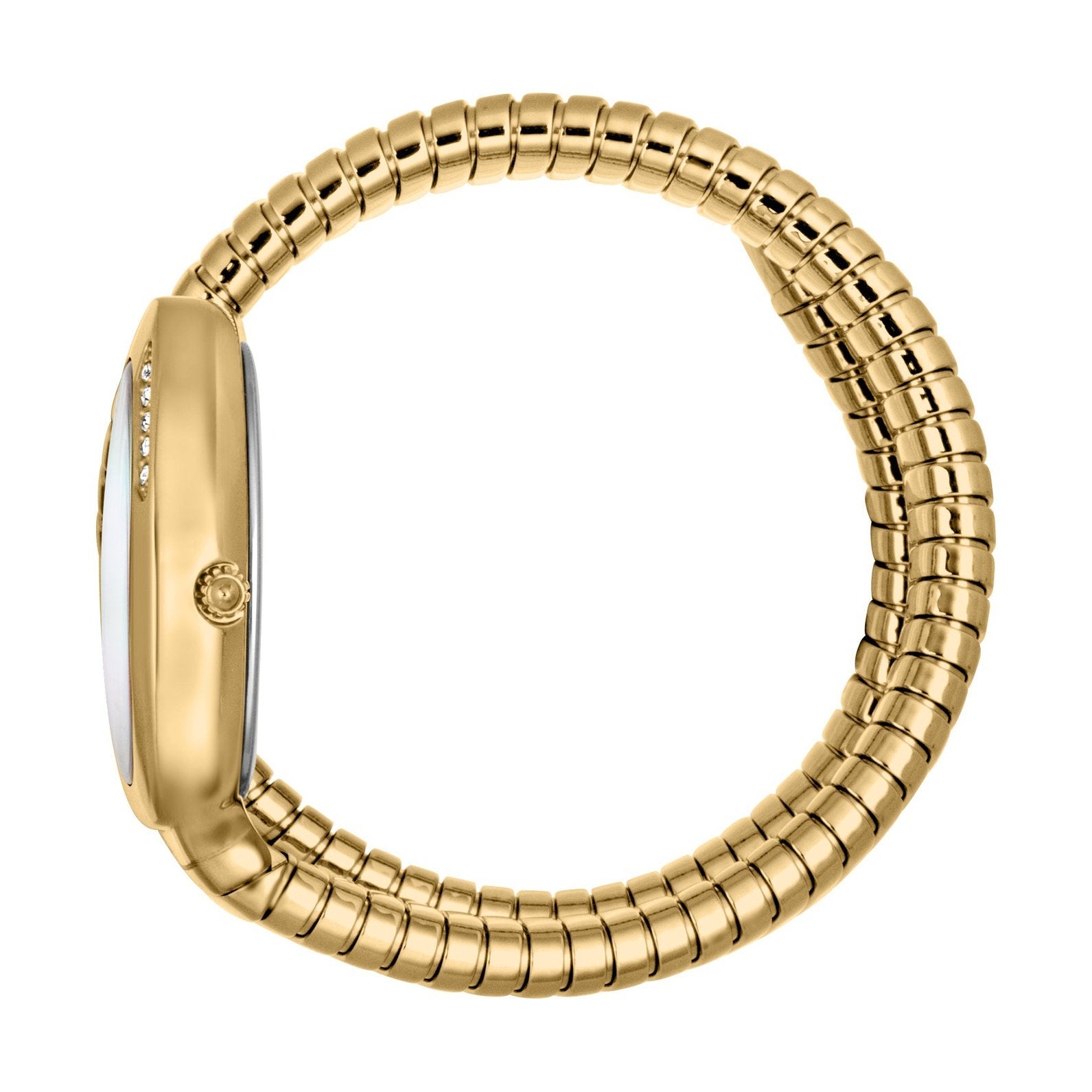 Ladies Just Glam Evo 4 Watch JC1L229M0025 Just Cavalli