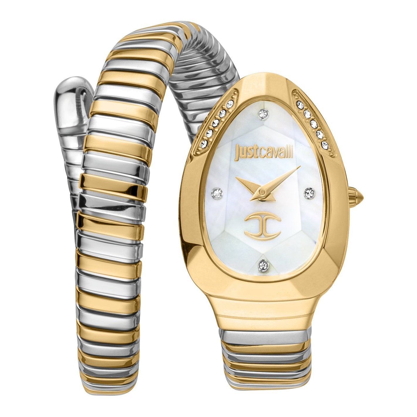 Ladies Just Glam Evo 4 Watch JC1L229M0065 Just Cavalli