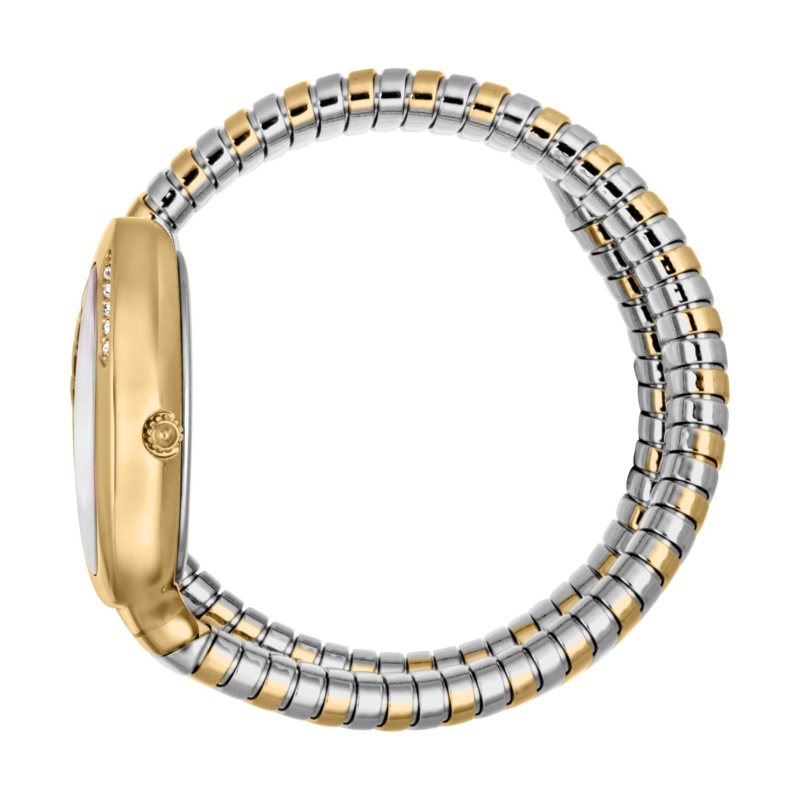 Ladies Just Glam Evo 4 Watch JC1L229M0065 Just Cavalli