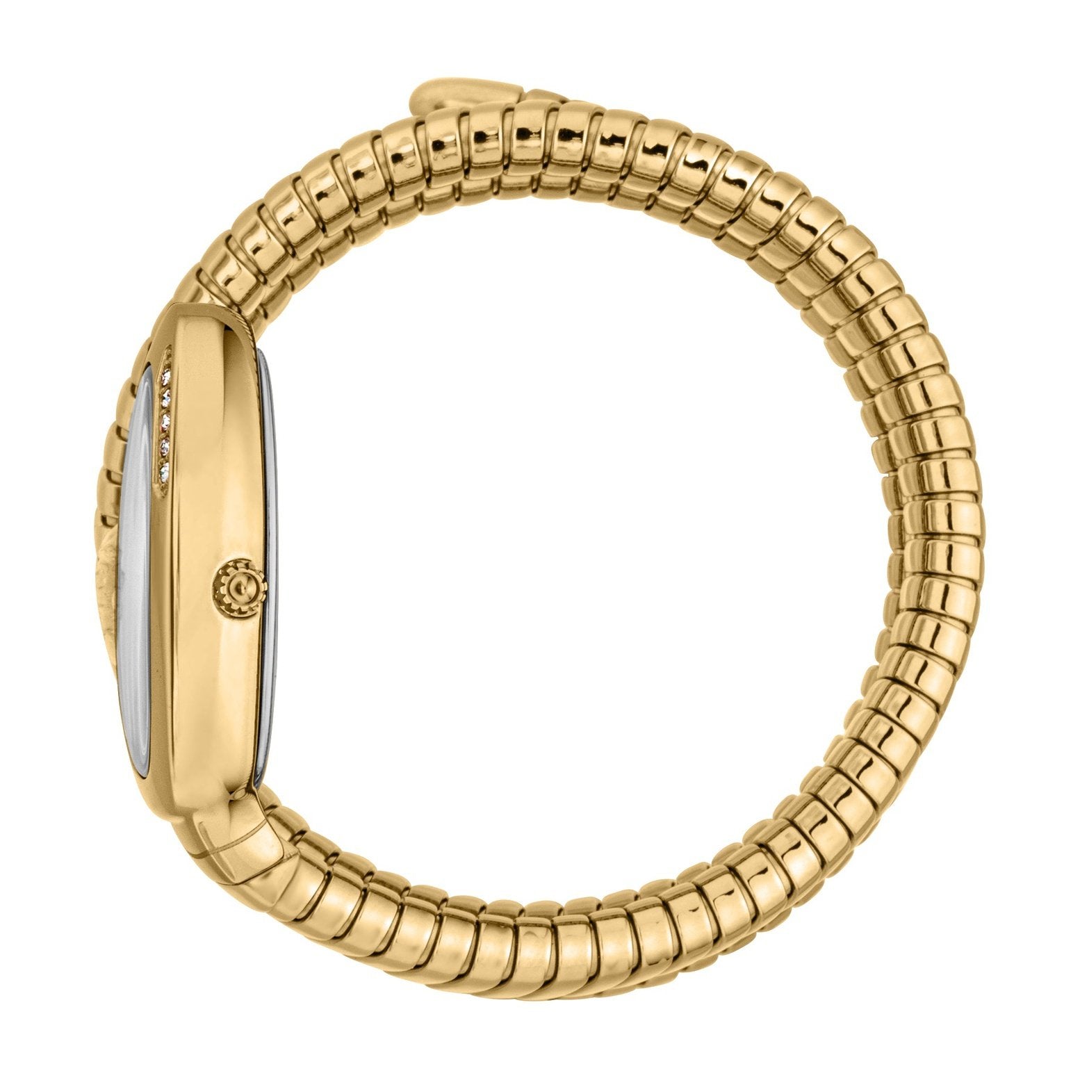 Ladies Vezzoso Watch JC1L230M0035 Just Cavalli