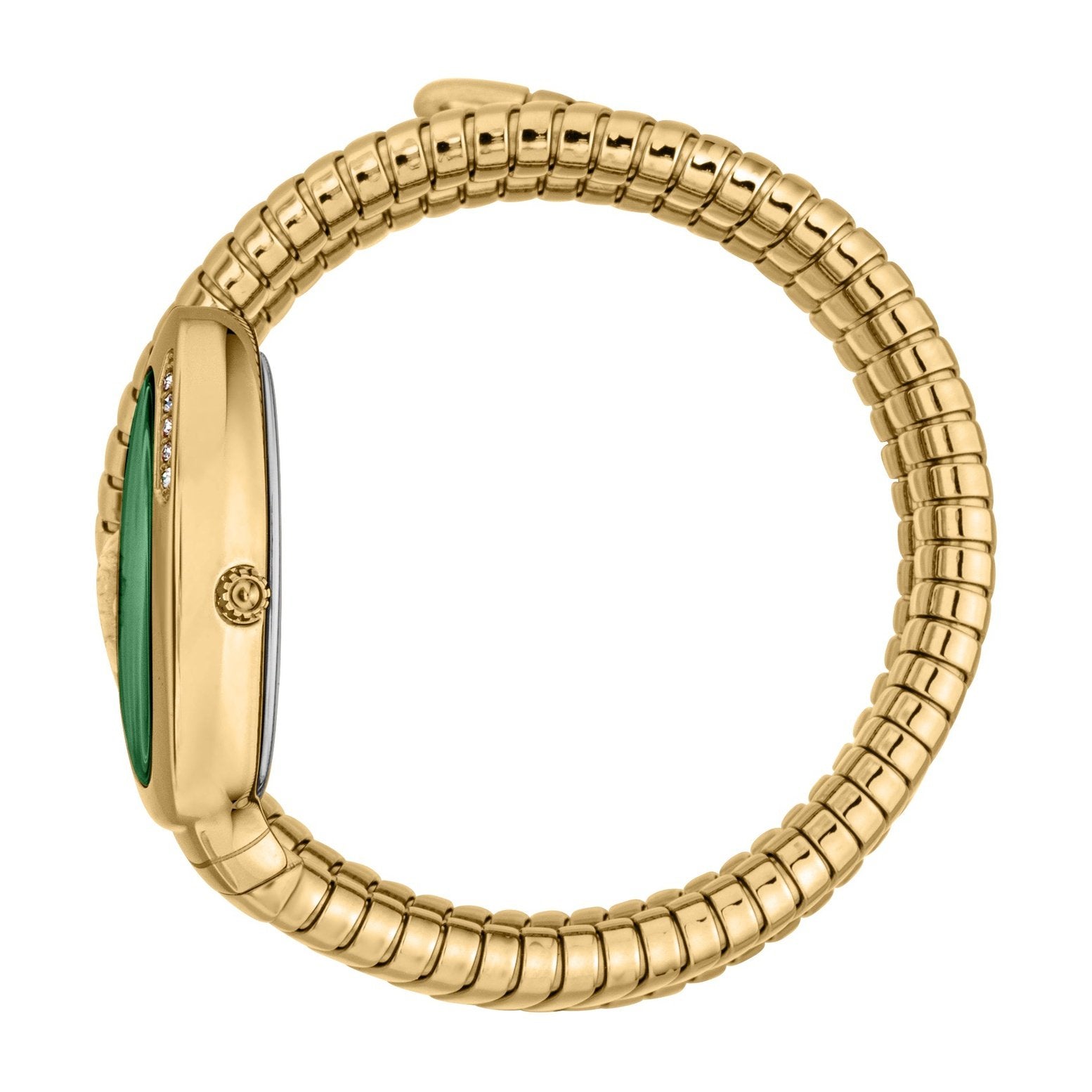 Ladies Vezzoso Watch JC1L230M0045 Just Cavalli