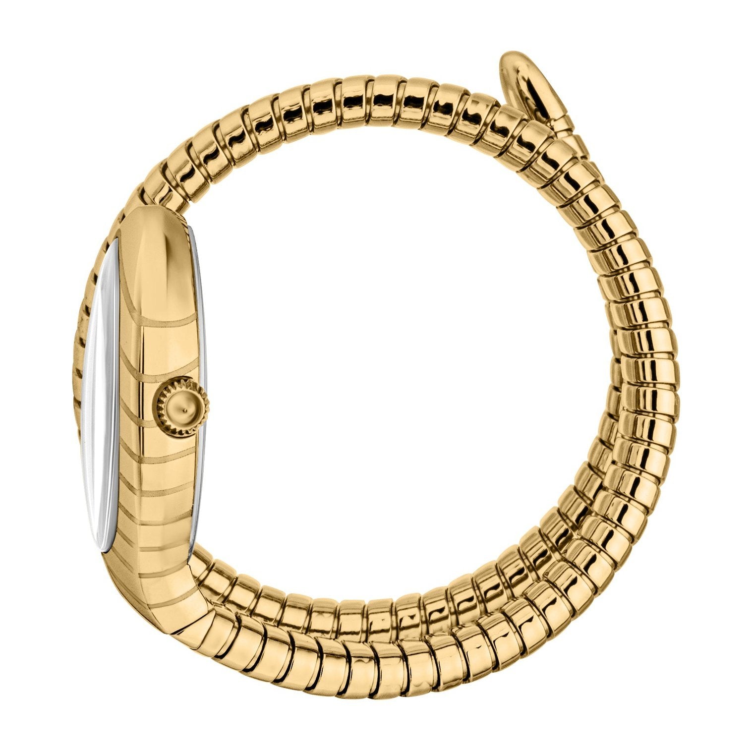 Ladies Classico Corto Watch JC1L247M0025 Just Cavalli